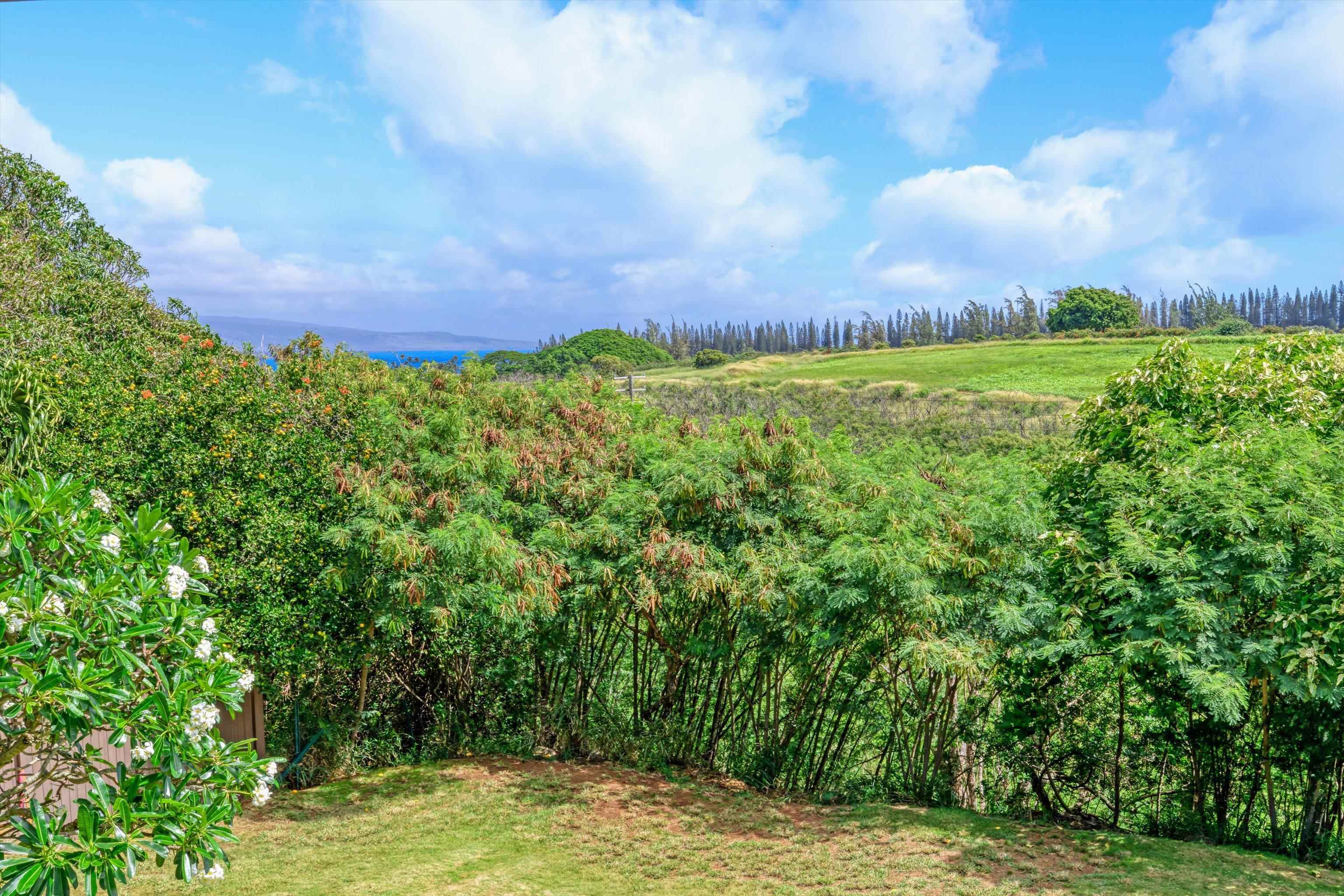125  Pualu Loop Napili, Napili/Kahana/Honokowai home - photo 36 of 38
