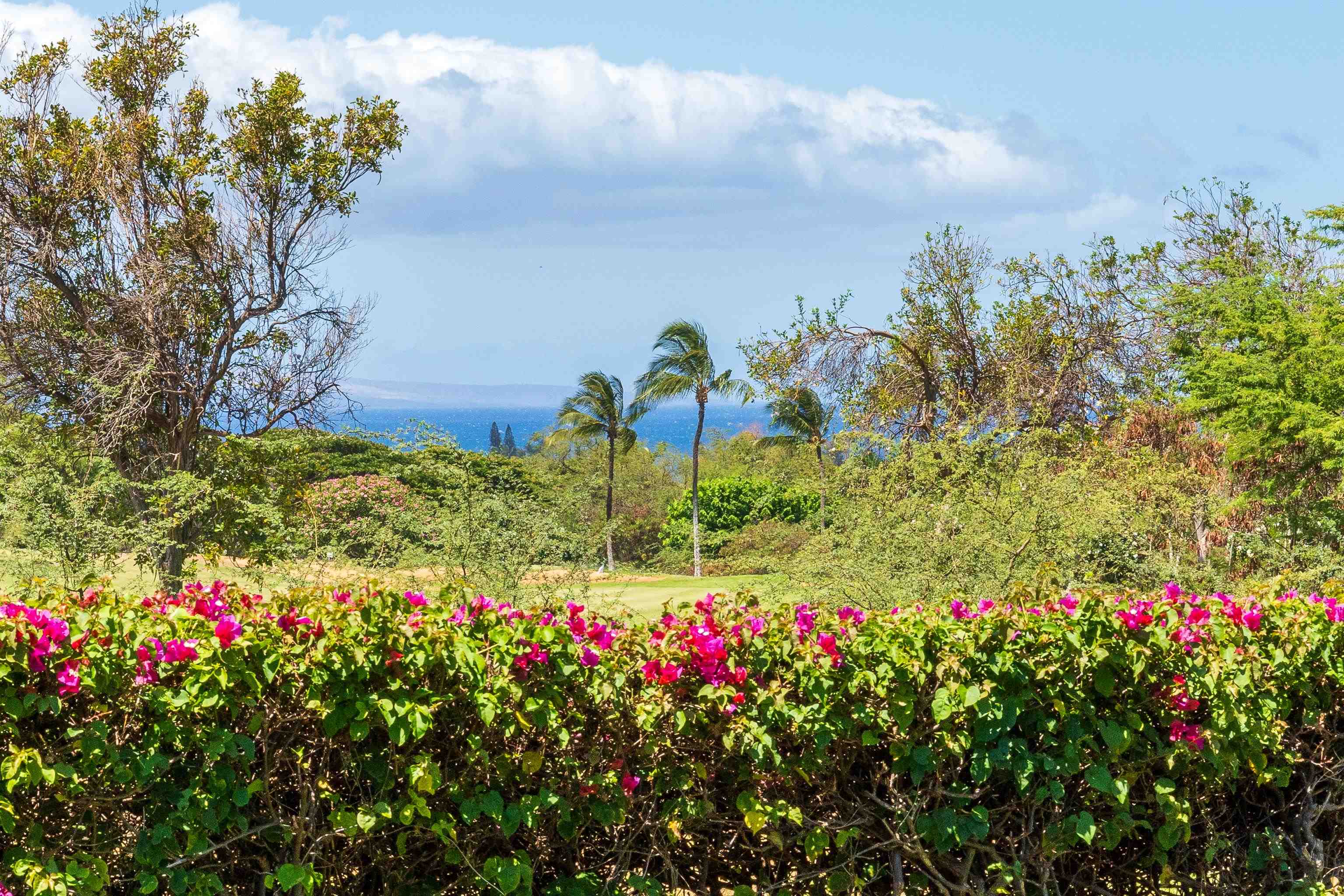 Hokulani Golf Villas condo # 18, Kihei, Hawaii - photo 16 of 42