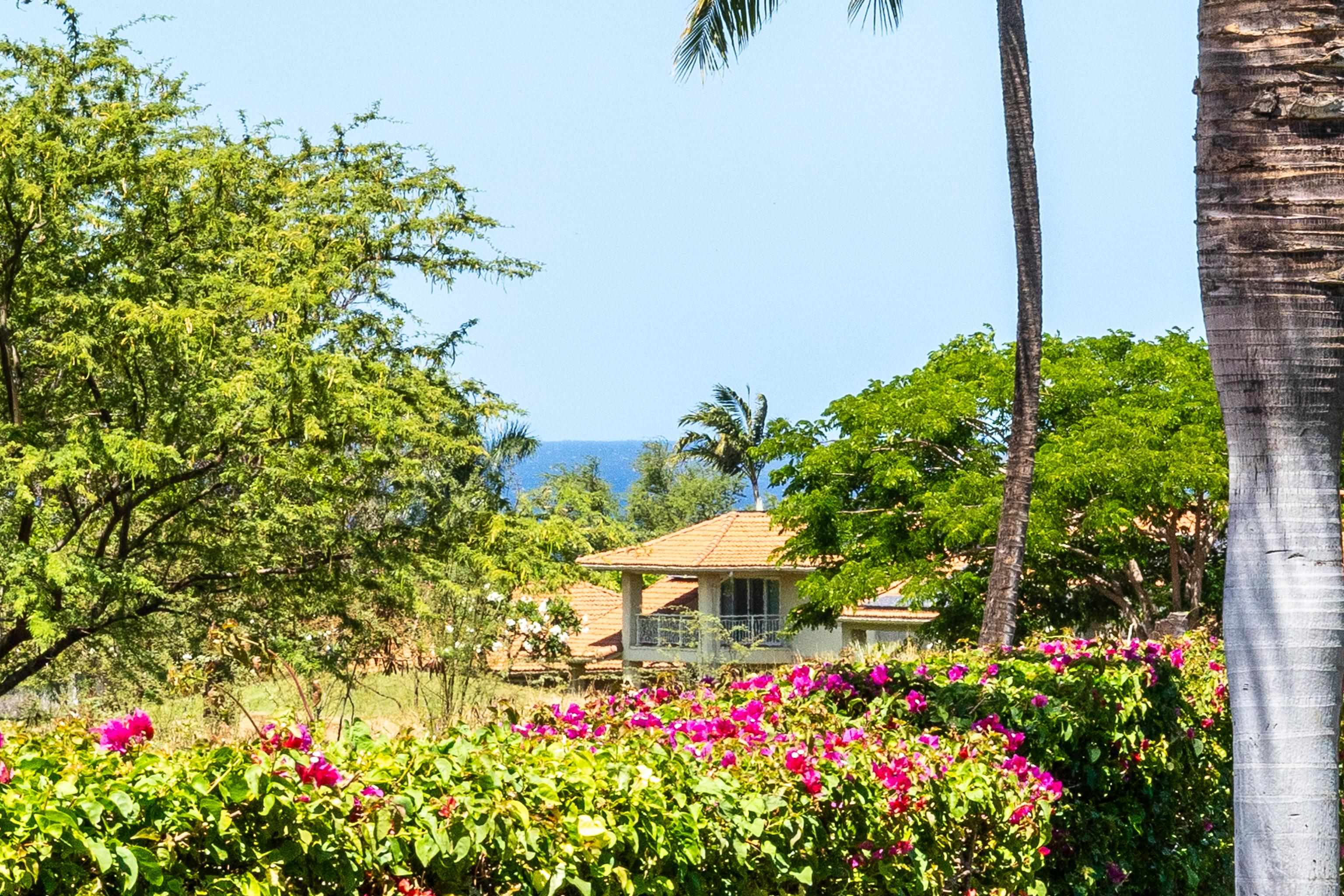 Hokulani Golf Villas condo # 18, Kihei, Hawaii - photo 17 of 42