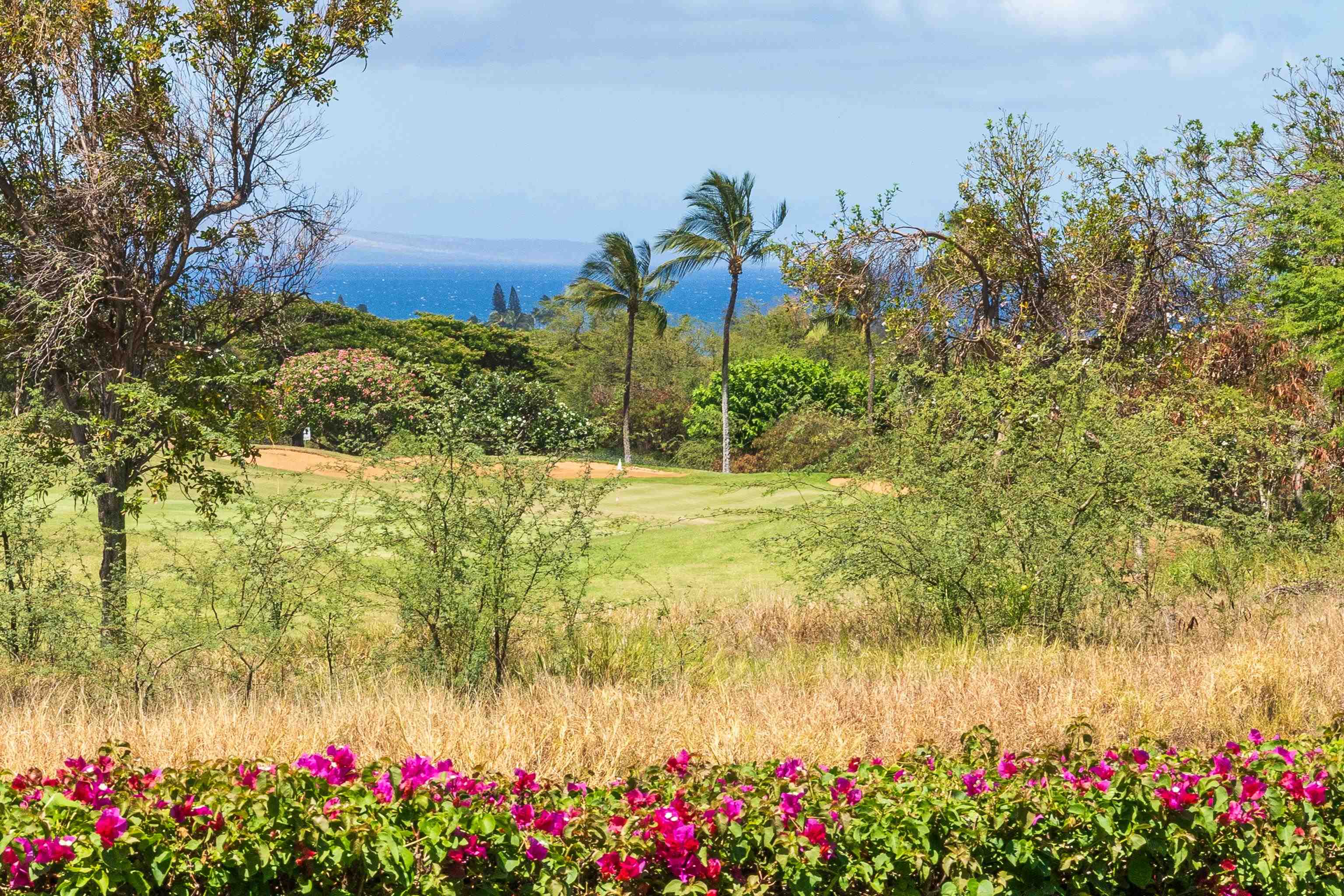 Hokulani Golf Villas condo # 18, Kihei, Hawaii - photo 18 of 42