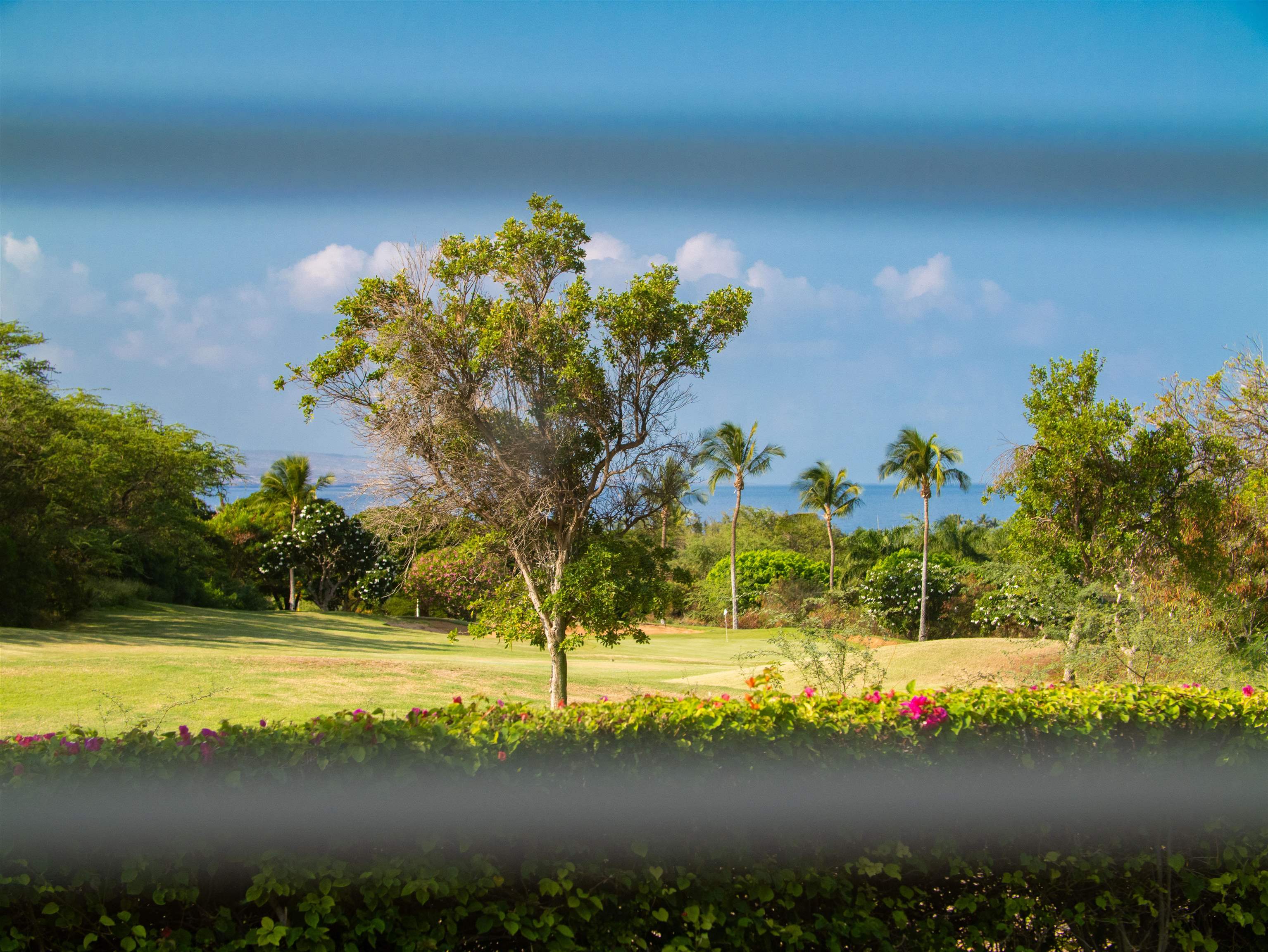 Hokulani Golf Villas condo # 18, Kihei, Hawaii - photo 18 of 37