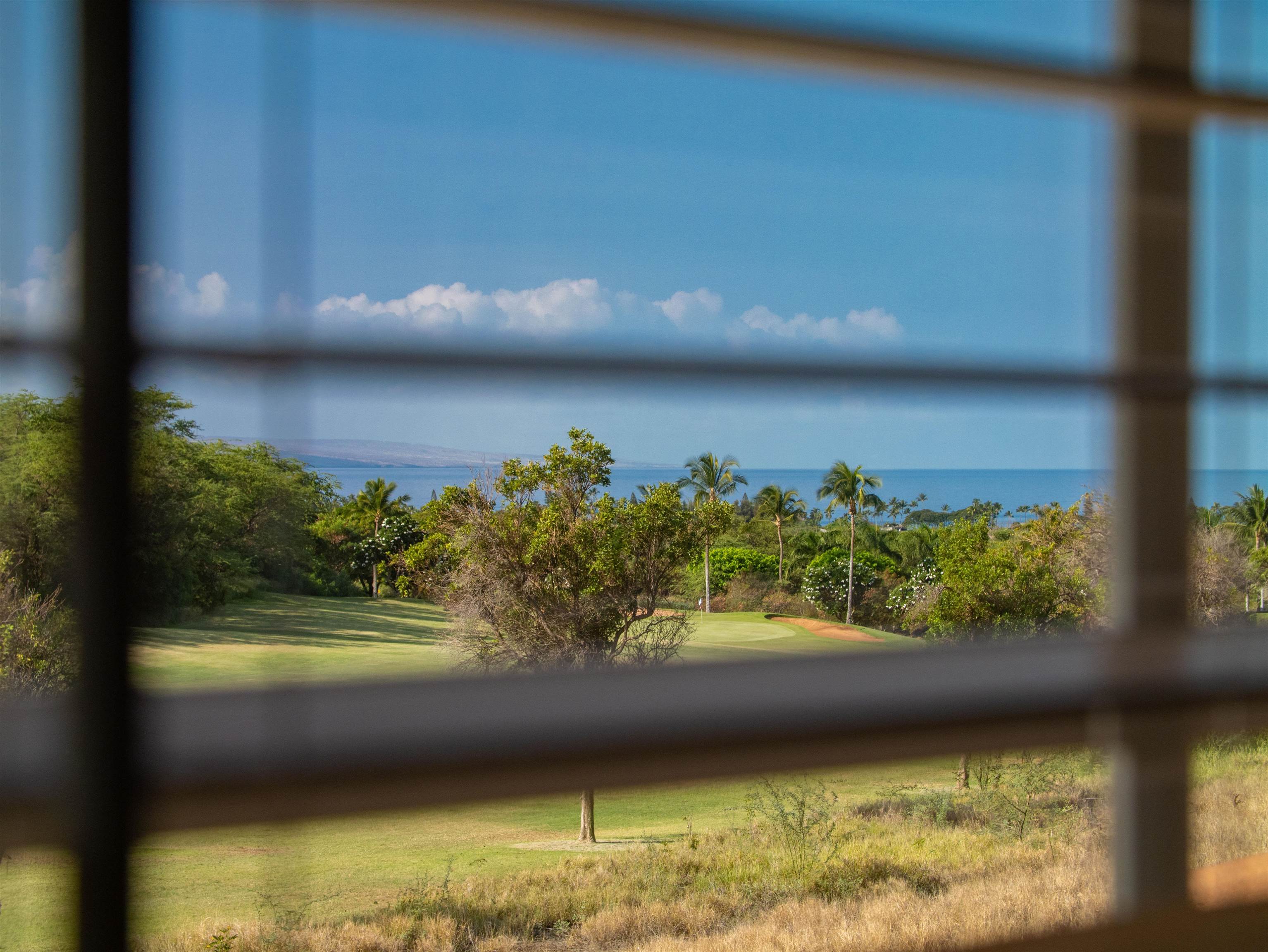 Hokulani Golf Villas condo # 18, Kihei, Hawaii - photo 30 of 37