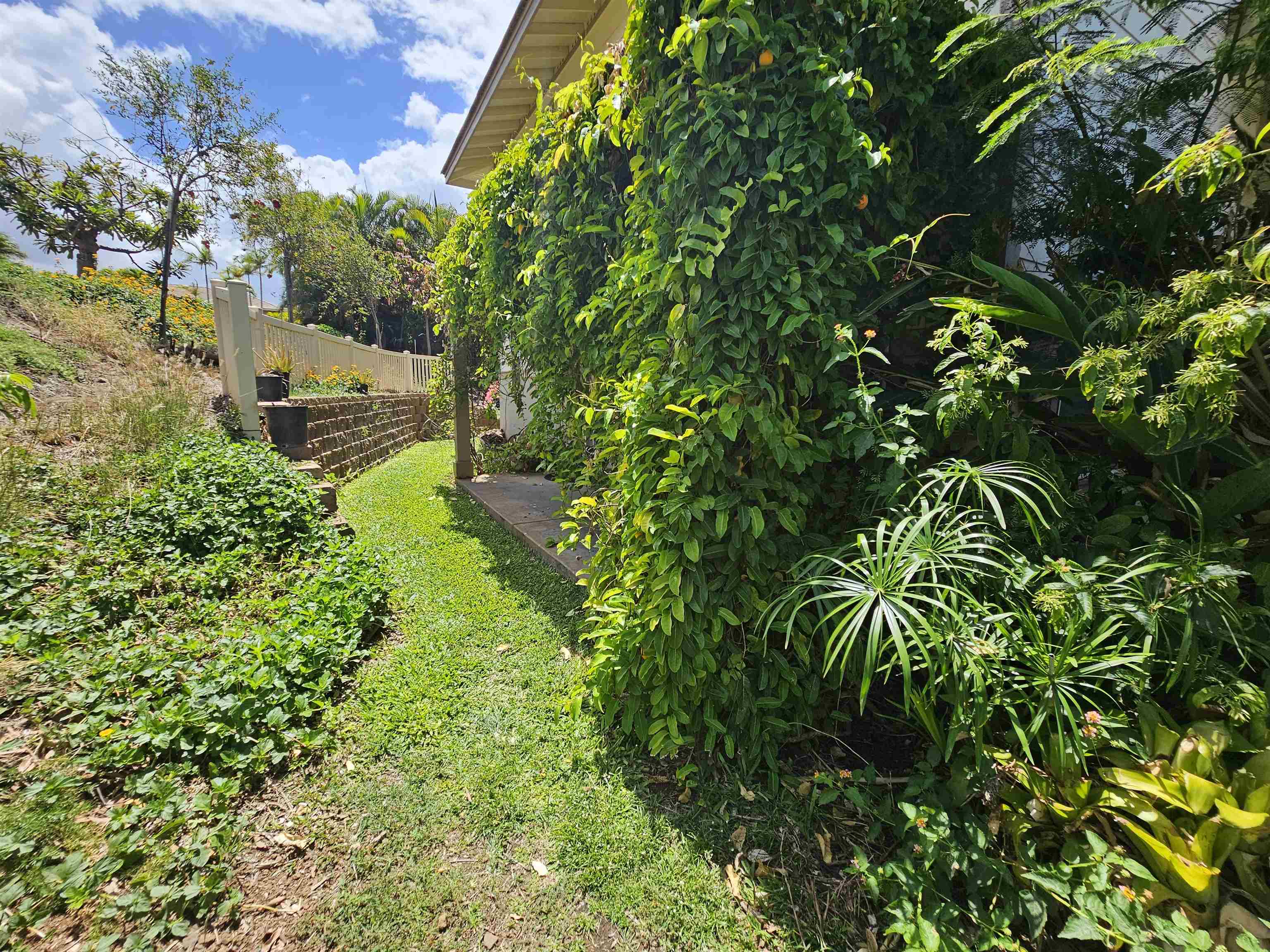 126  Ahekolo St , Kihei home - photo 24 of 50