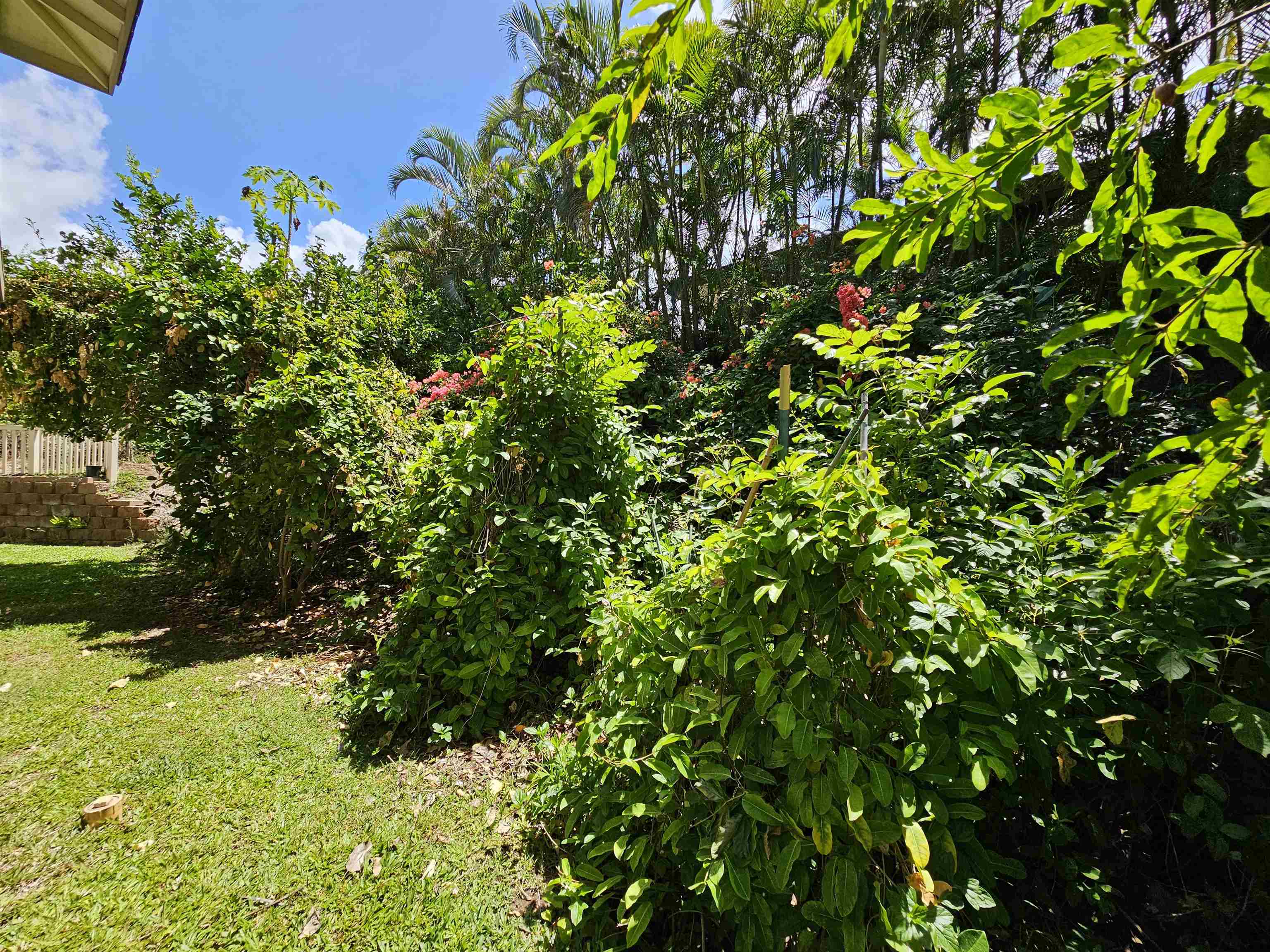 126  Ahekolo St , Kihei home - photo 47 of 50