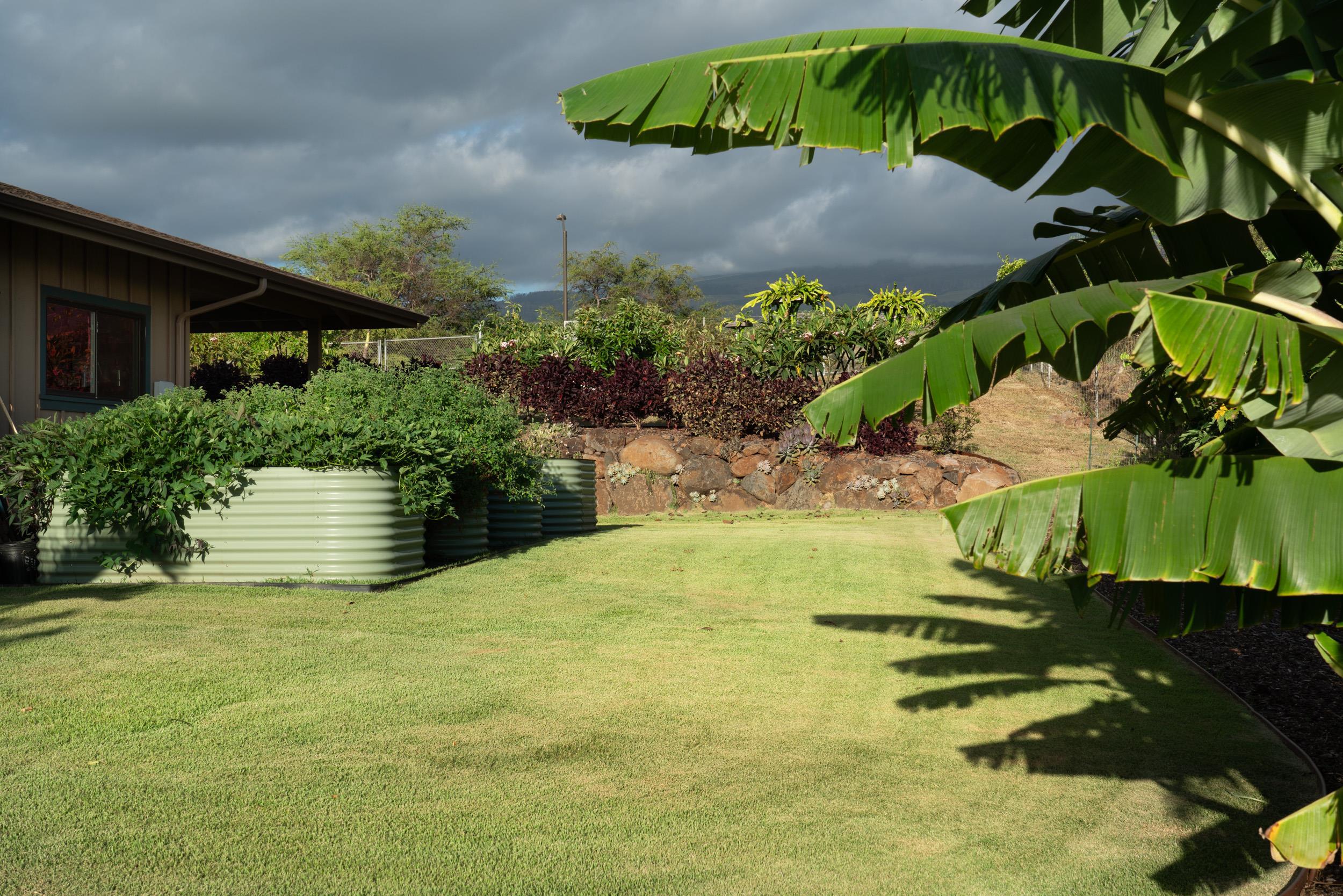 126  Hoomaikai Pl Omaopio, Kula/Ulupalakua/Kanaio home - photo 33 of 50