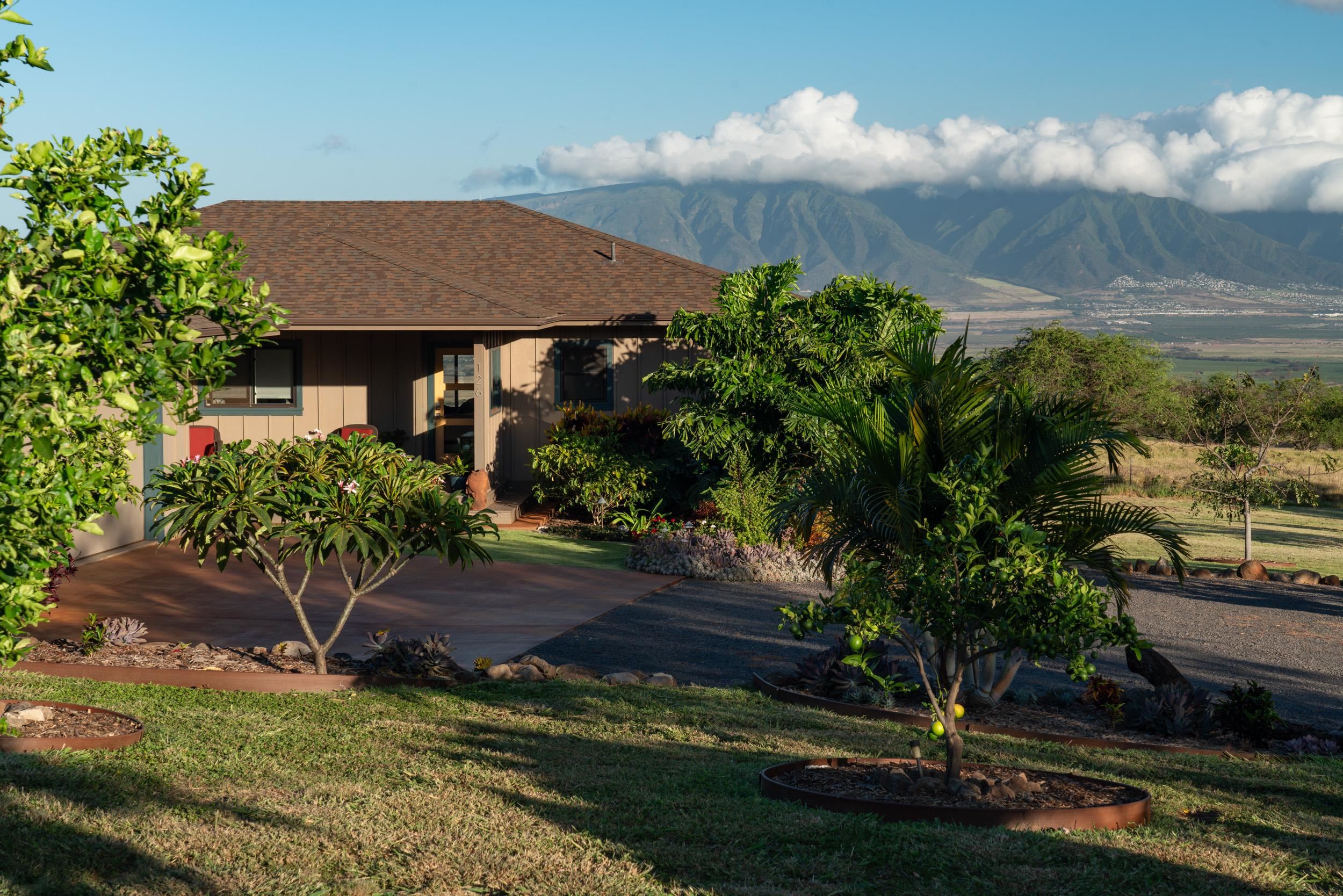 126  Hoomaikai Pl Omaopio, Kula/Ulupalakua/Kanaio home - photo 5 of 50