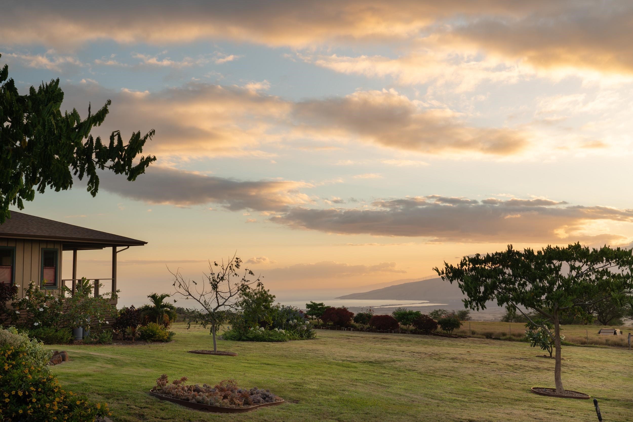 126  Hoomaikai Pl Omaopio, Kula/Ulupalakua/Kanaio home - photo 48 of 50