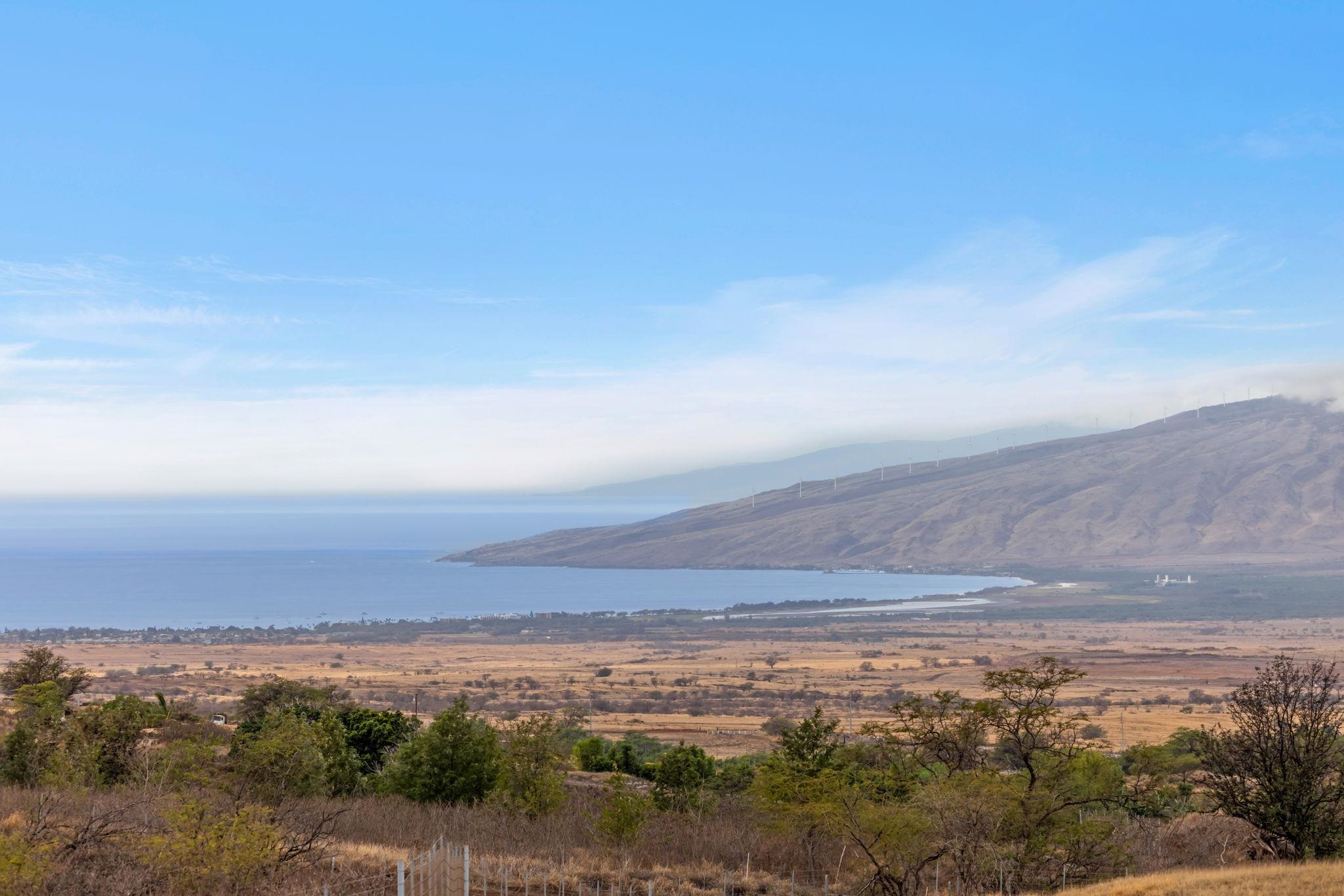 126  Hoomaikai Pl Omaopio, Kula/Ulupalakua/Kanaio home - photo 26 of 50