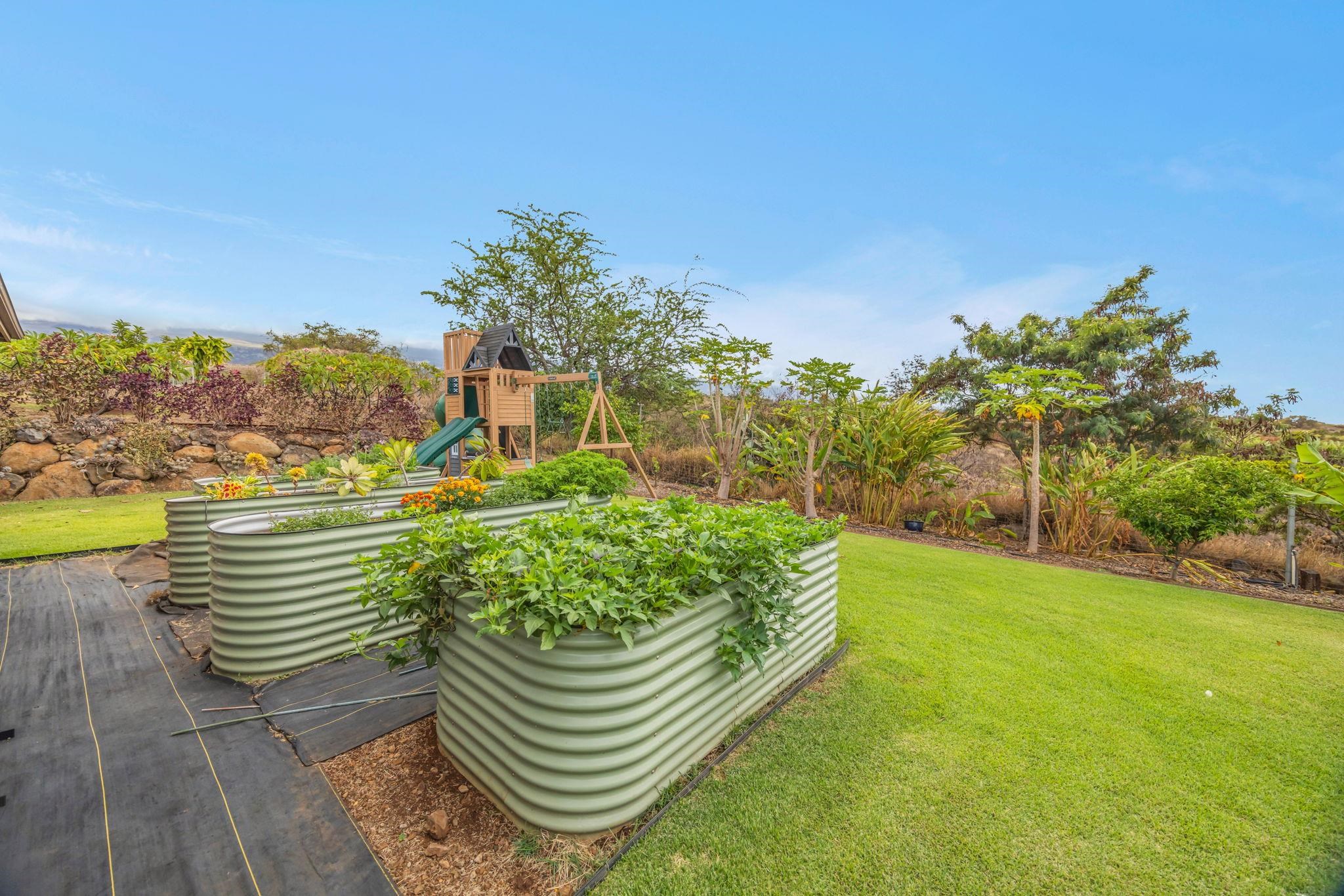 126  Hoomaikai Pl Omaopio, Kula/Ulupalakua/Kanaio home - photo 37 of 50