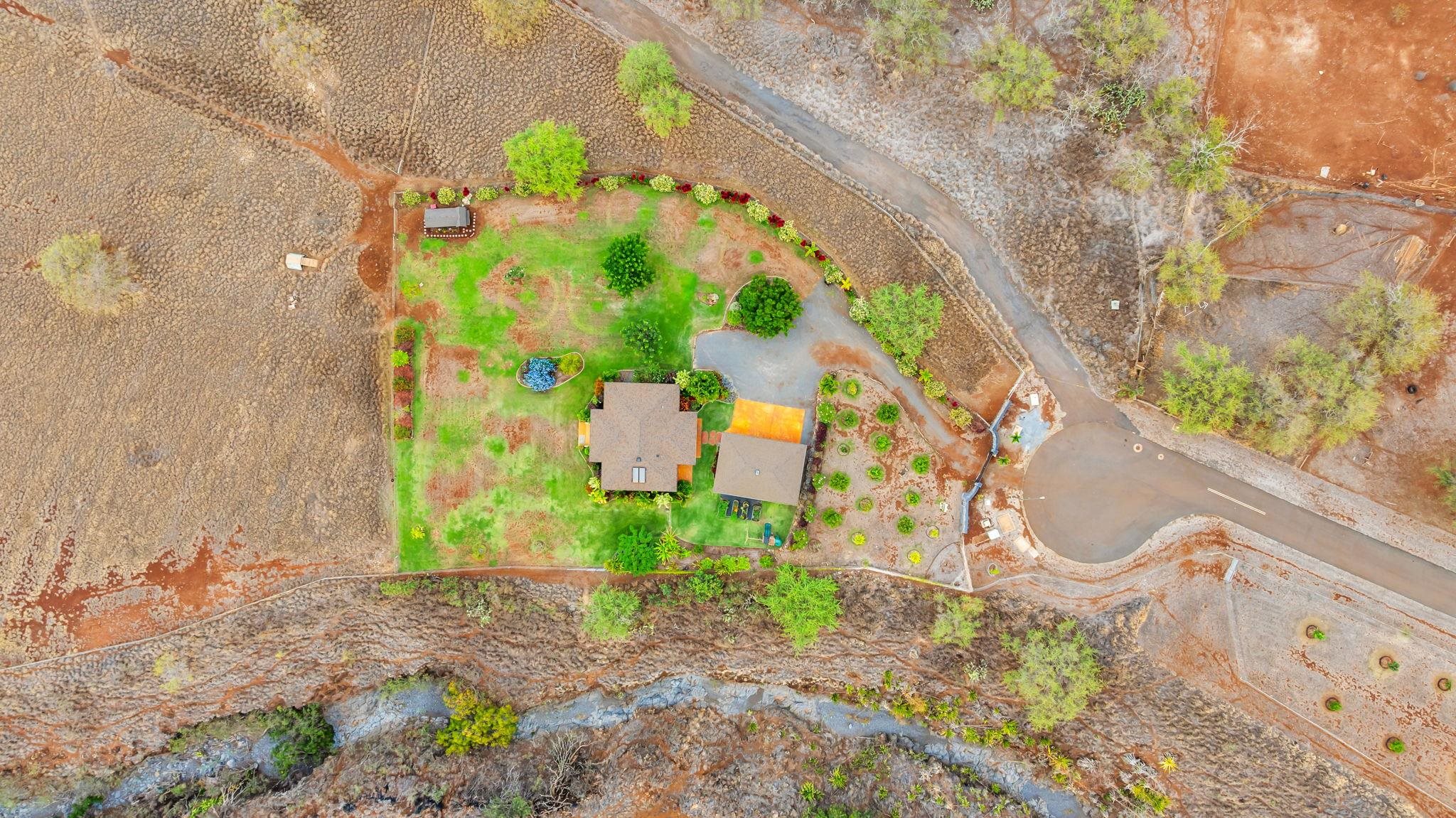 126  Hoomaikai Pl Omaopio, Kula/Ulupalakua/Kanaio home - photo 40 of 50