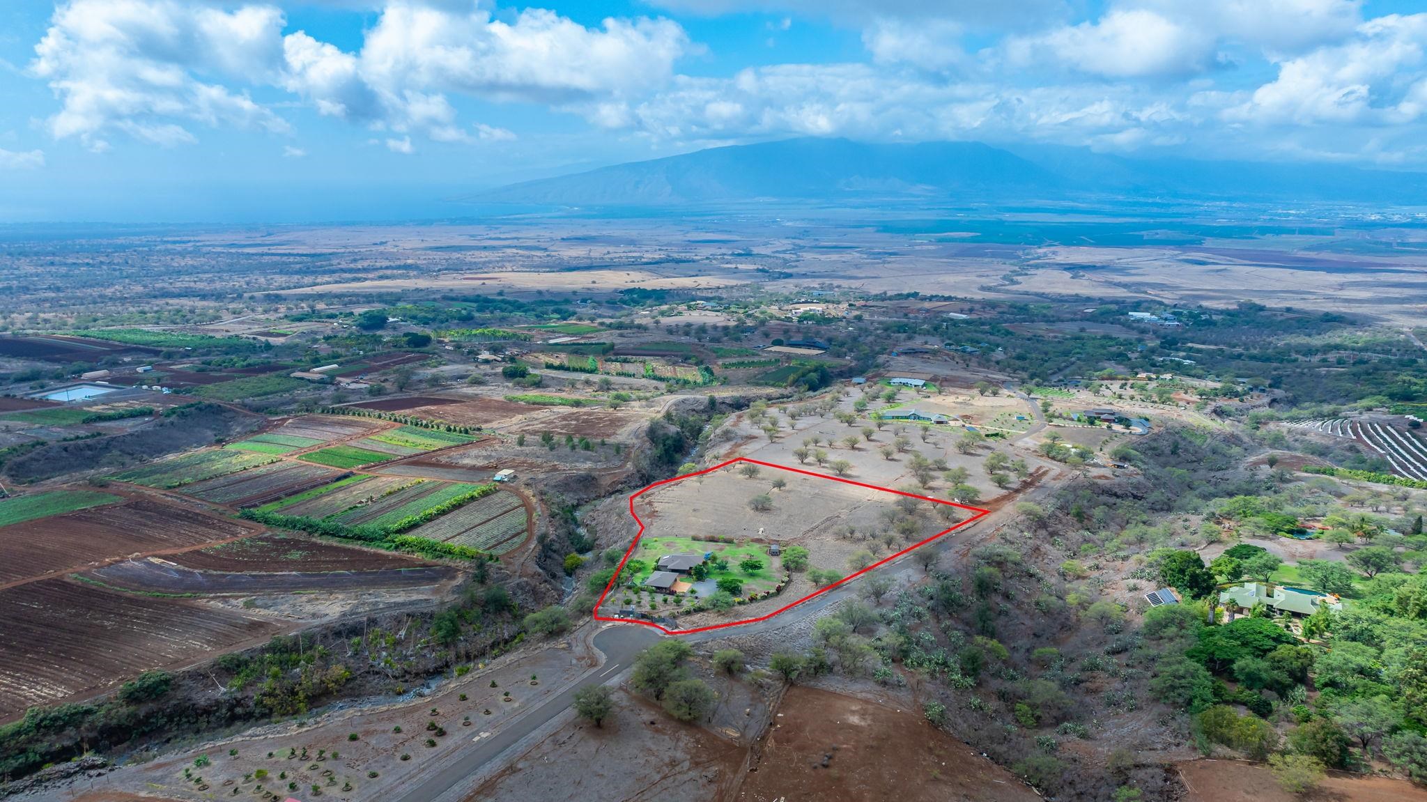 126  Hoomaikai Pl Omaopio, Kula/Ulupalakua/Kanaio home - photo 46 of 50