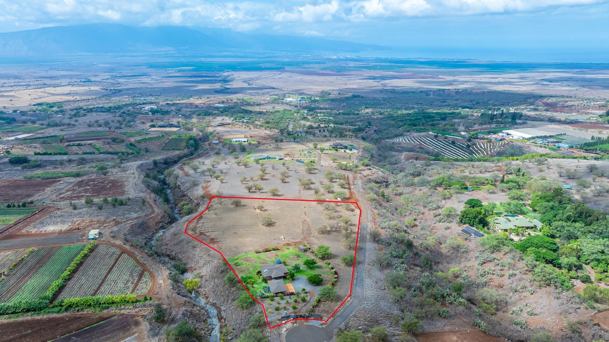 126  Hoomaikai Pl Omaopio, Kula/Ulupalakua/Kanaio home - photo 47 of 50