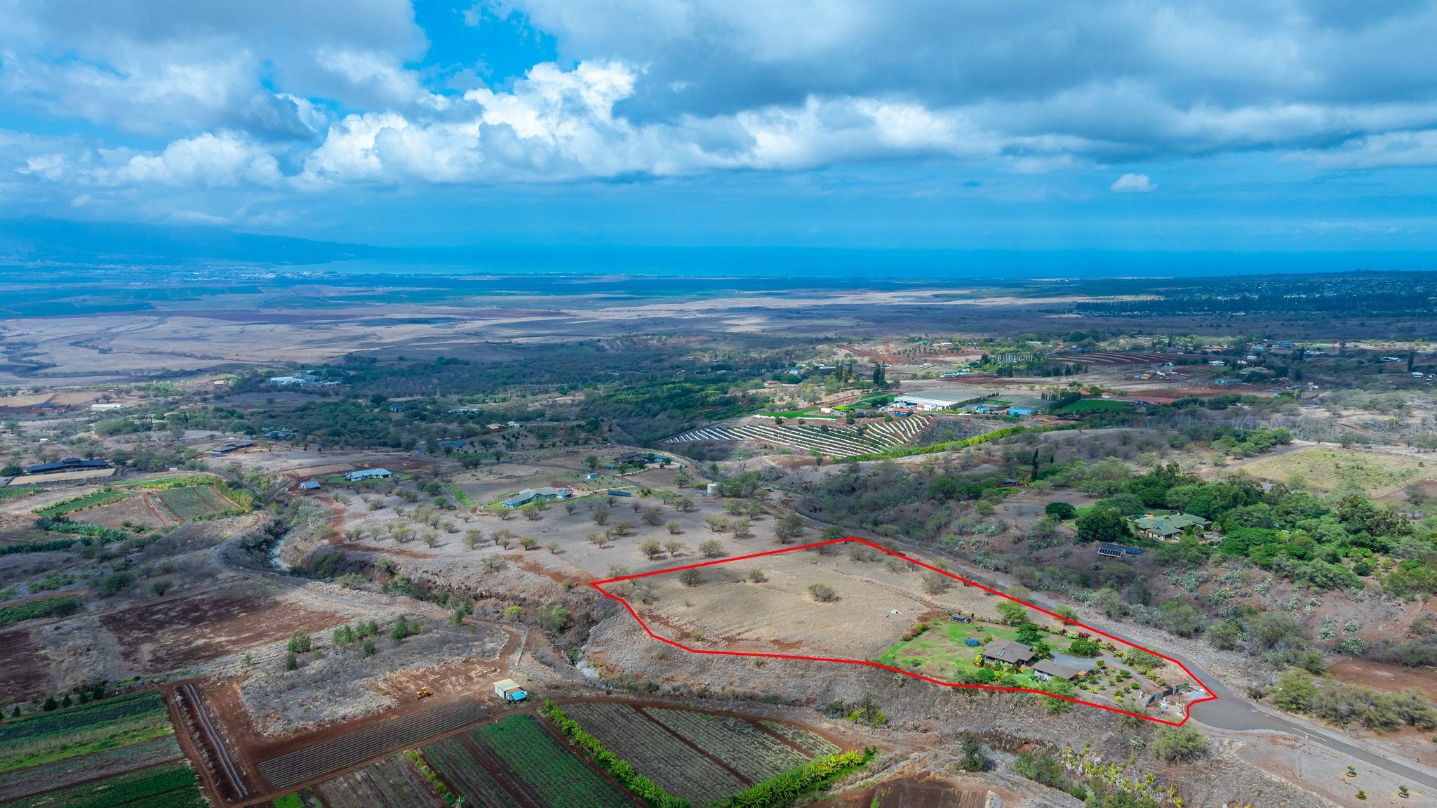 126  Hoomaikai Pl Omaopio, Kula/Ulupalakua/Kanaio home - photo 48 of 50