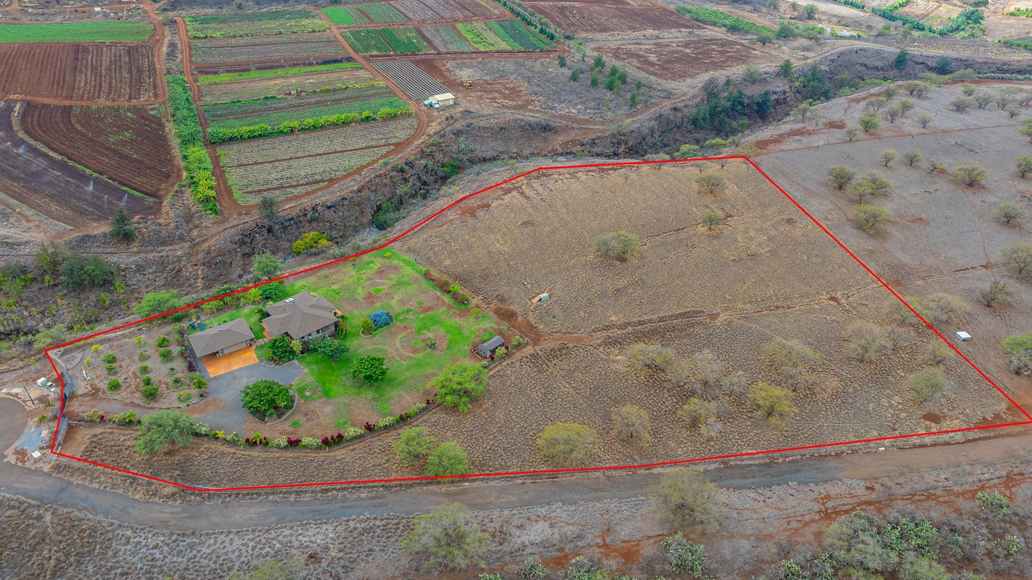 126  Hoomaikai Pl Omaopio, Kula/Ulupalakua/Kanaio home - photo 49 of 50