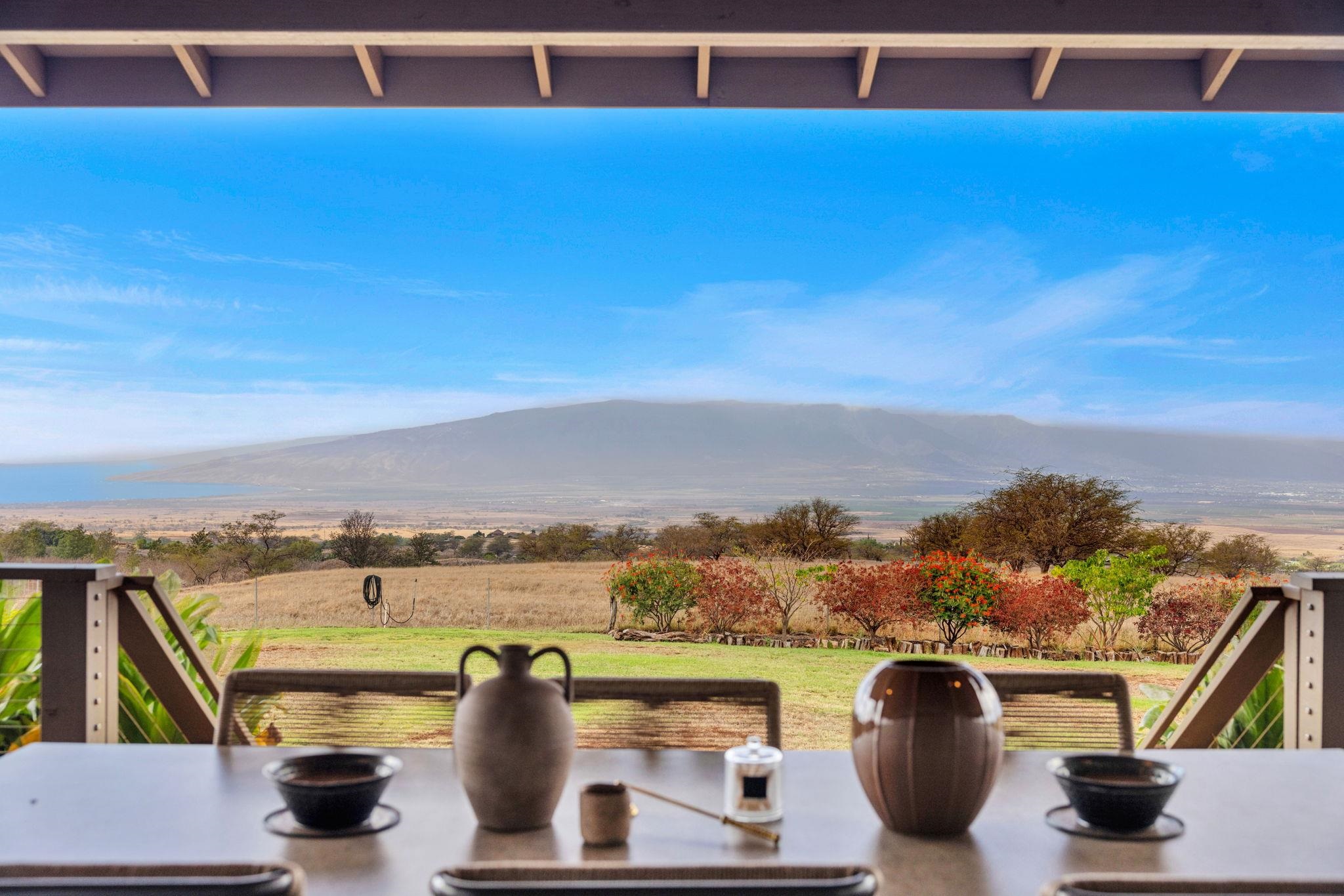 126  Hoomaikai Pl Omaopio, Kula/Ulupalakua/Kanaio home - photo 50 of 50