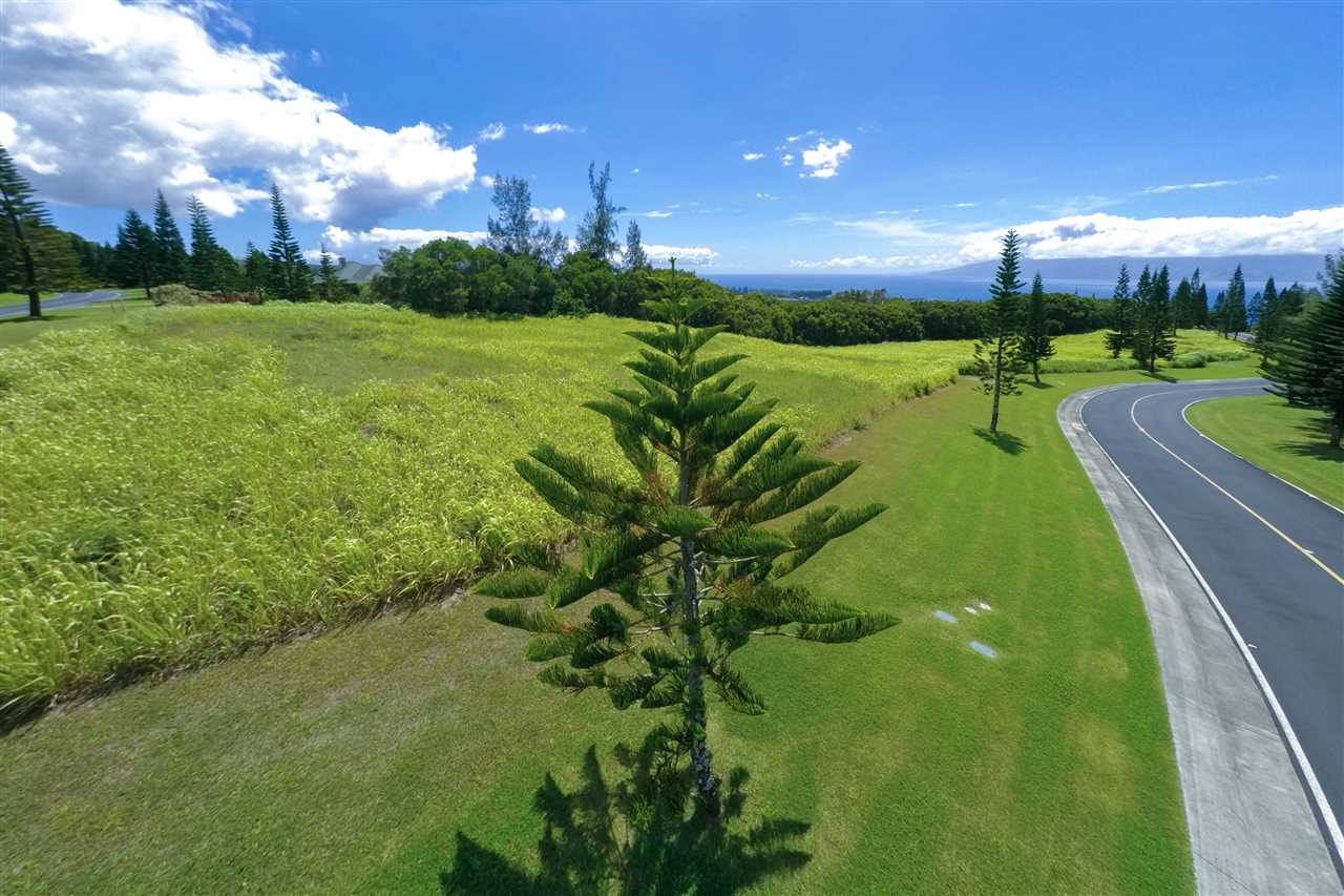 126 Keoawa St  Lahaina, Hi vacant land for sale - photo 12 of 14