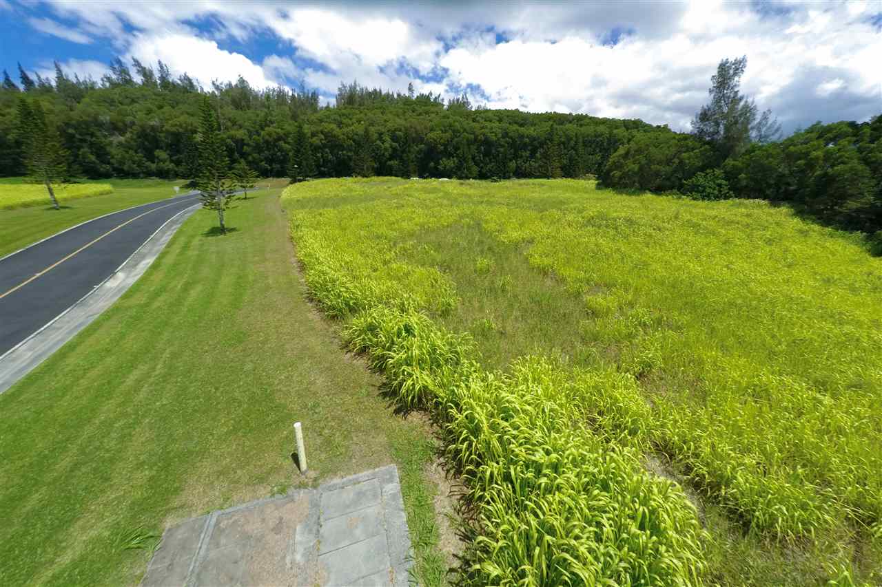 126 Keoawa St  Lahaina, Hi vacant land for sale - photo 13 of 14