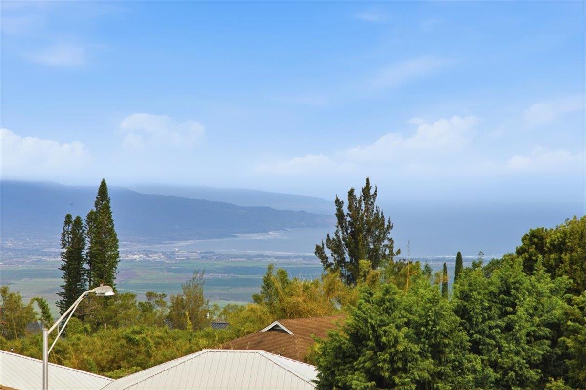 126  Kulalani Dr , Kula/Ulupalakua/Kanaio home - photo 44 of 50