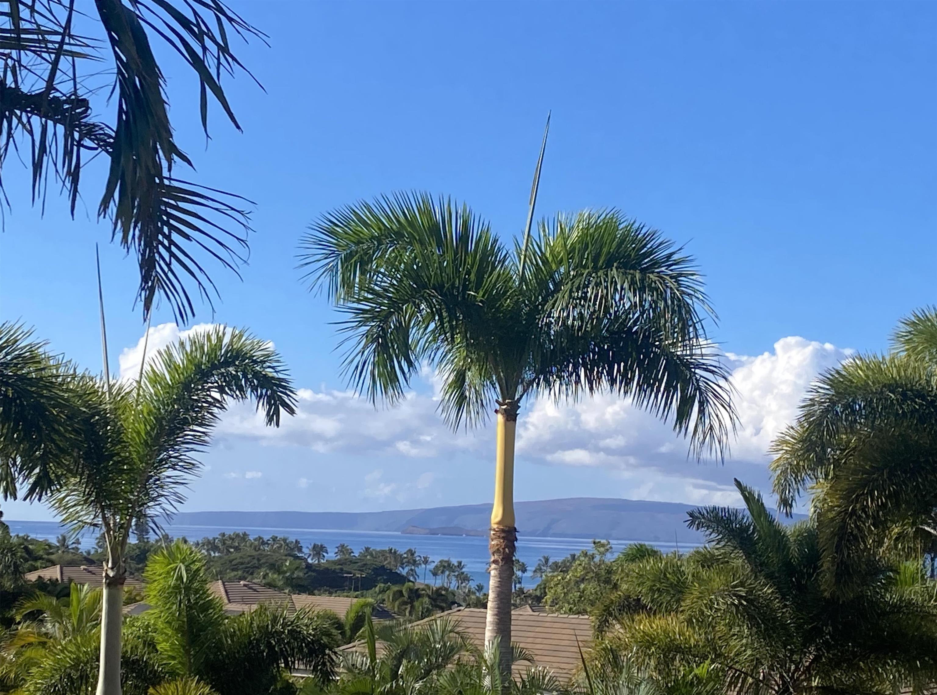 126  Ponana St South Maui, Kihei home - photo 6 of 50