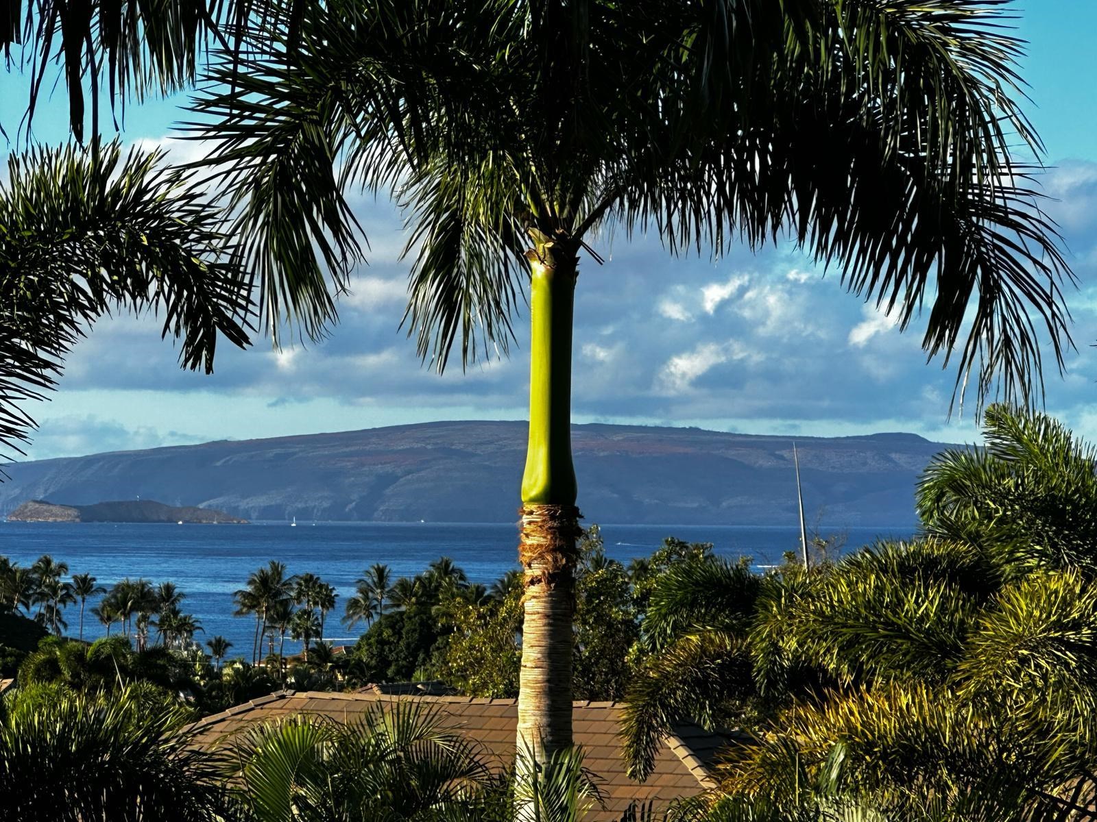 126  Ponana St South Maui, Kihei home - photo 6 of 50