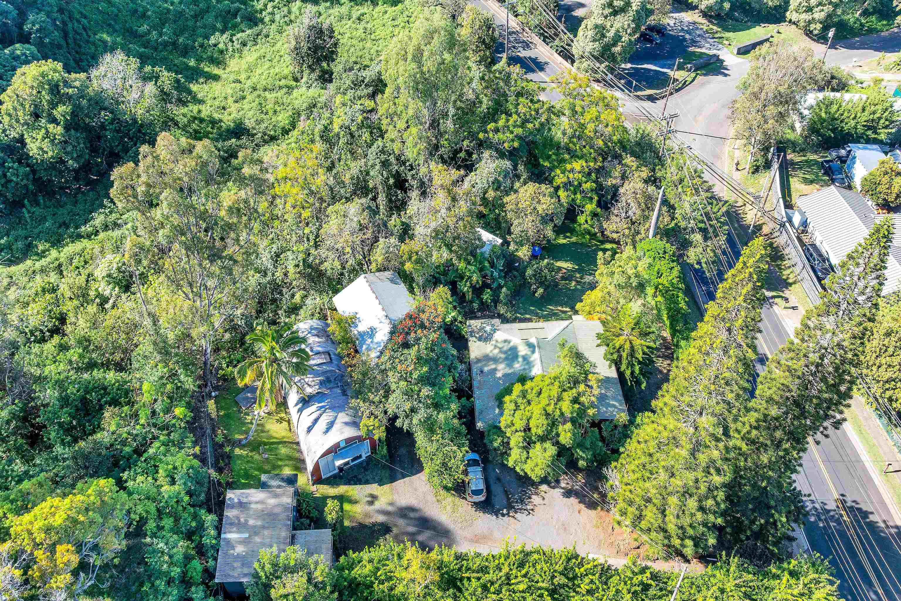 1260  Makawao Ave Makawao Town, Makawao/Olinda/Haliimaile home - photo 31 of 35