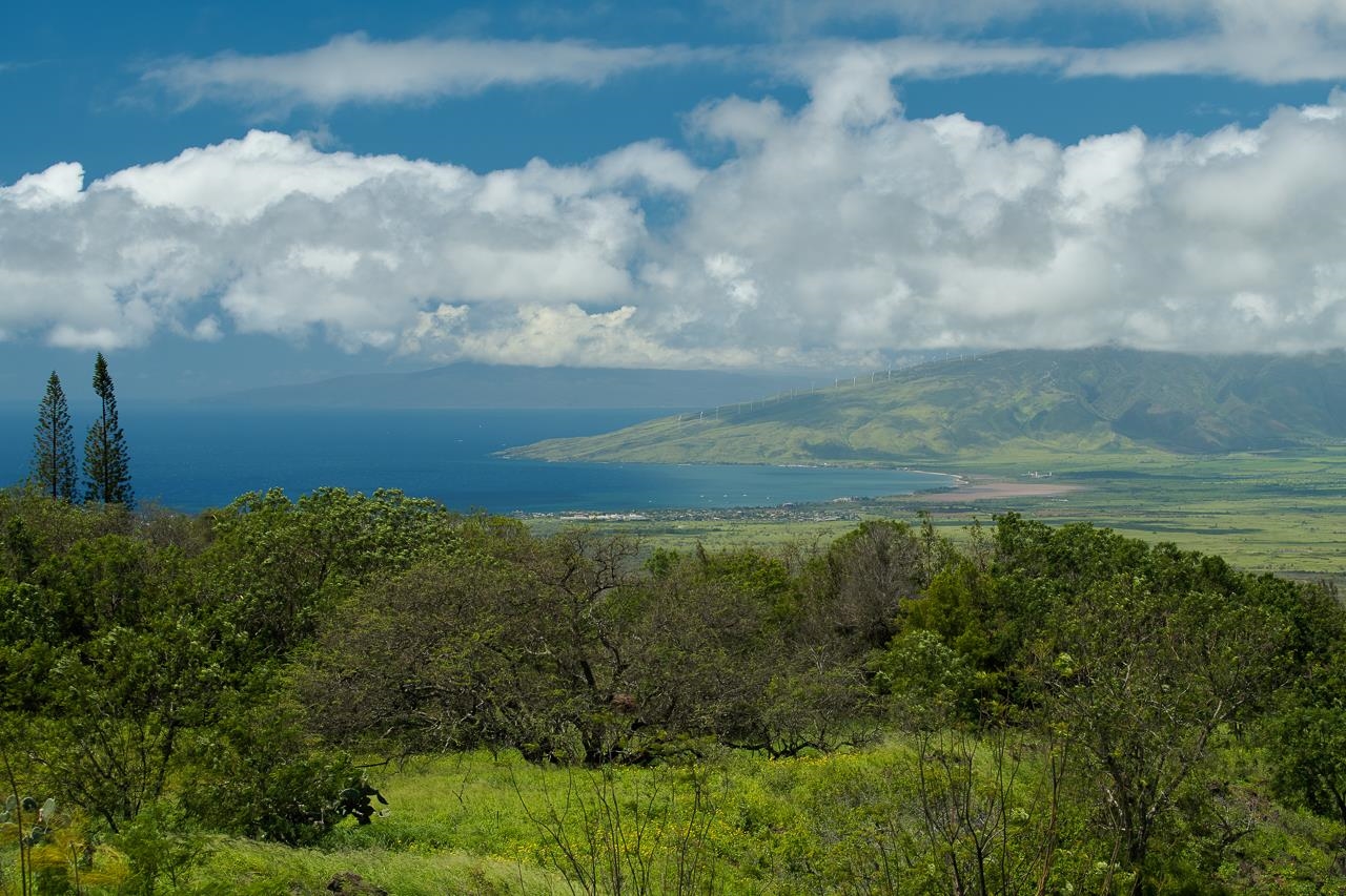 1260  Naalae Rd , Kula/Ulupalakua/Kanaio home - photo 15 of 50