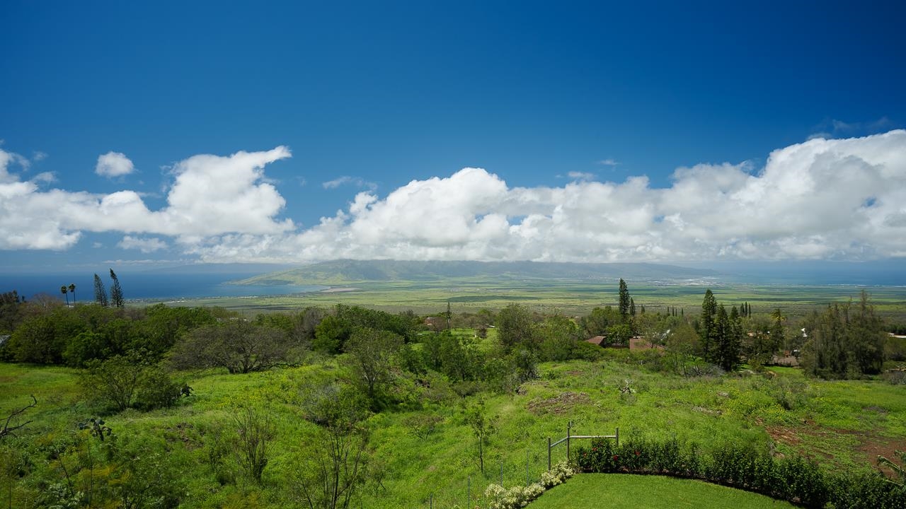 1260  Naalae Rd , Kula/Ulupalakua/Kanaio home - photo 18 of 50