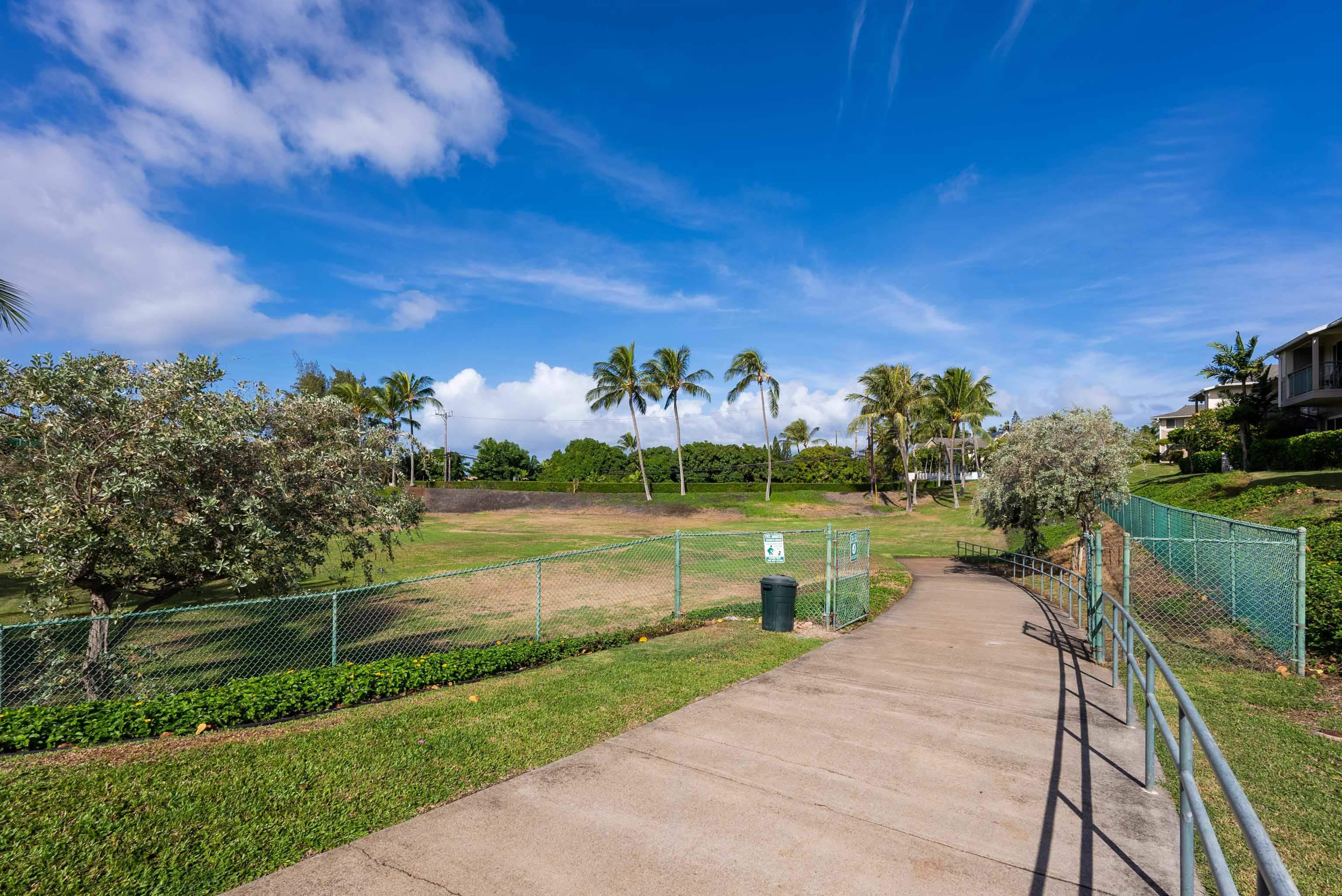 Napili Villas condo # 4, Lahaina, Hawaii - photo 23 of 27