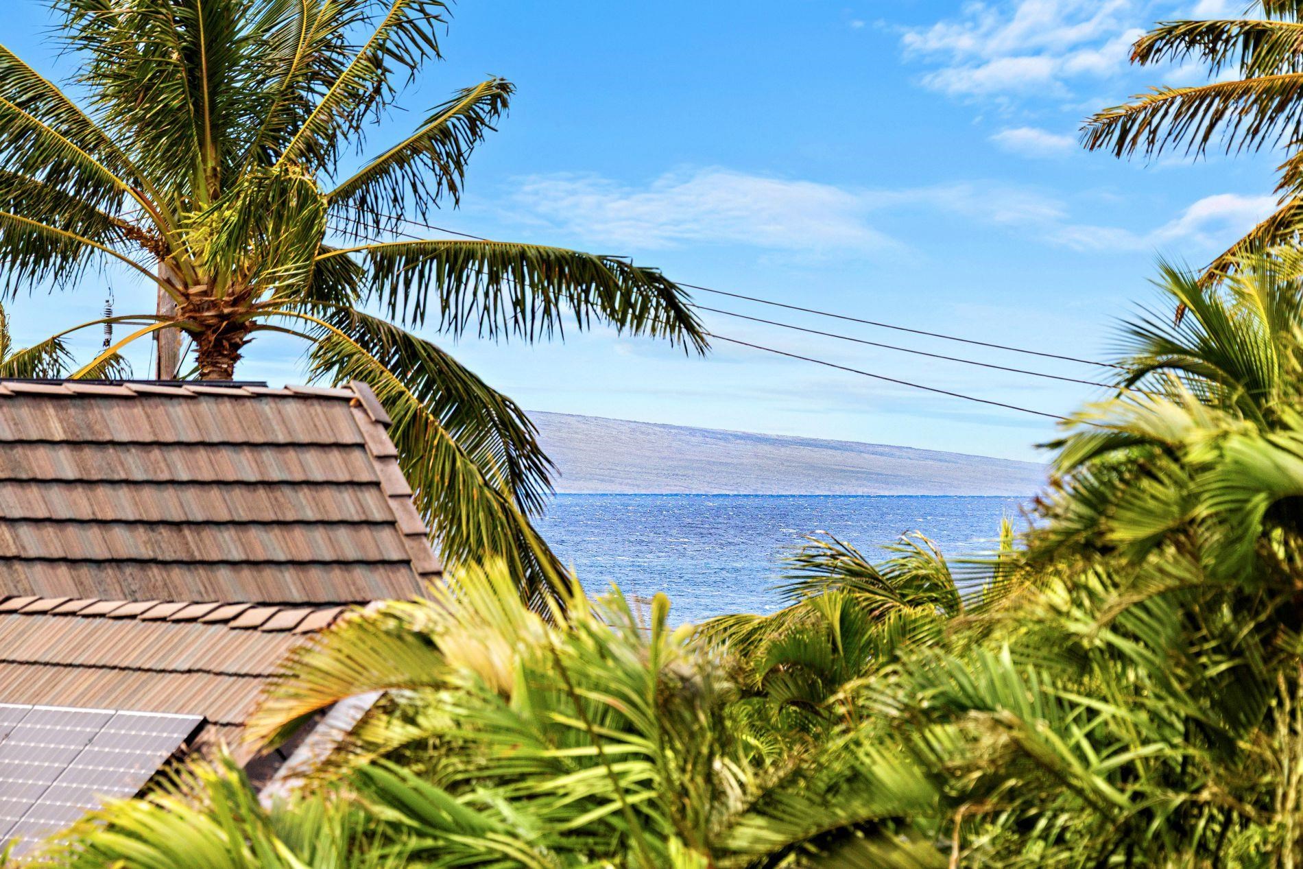 Napili Villas condo # 7-2, Lahaina, Hawaii - photo 42 of 43