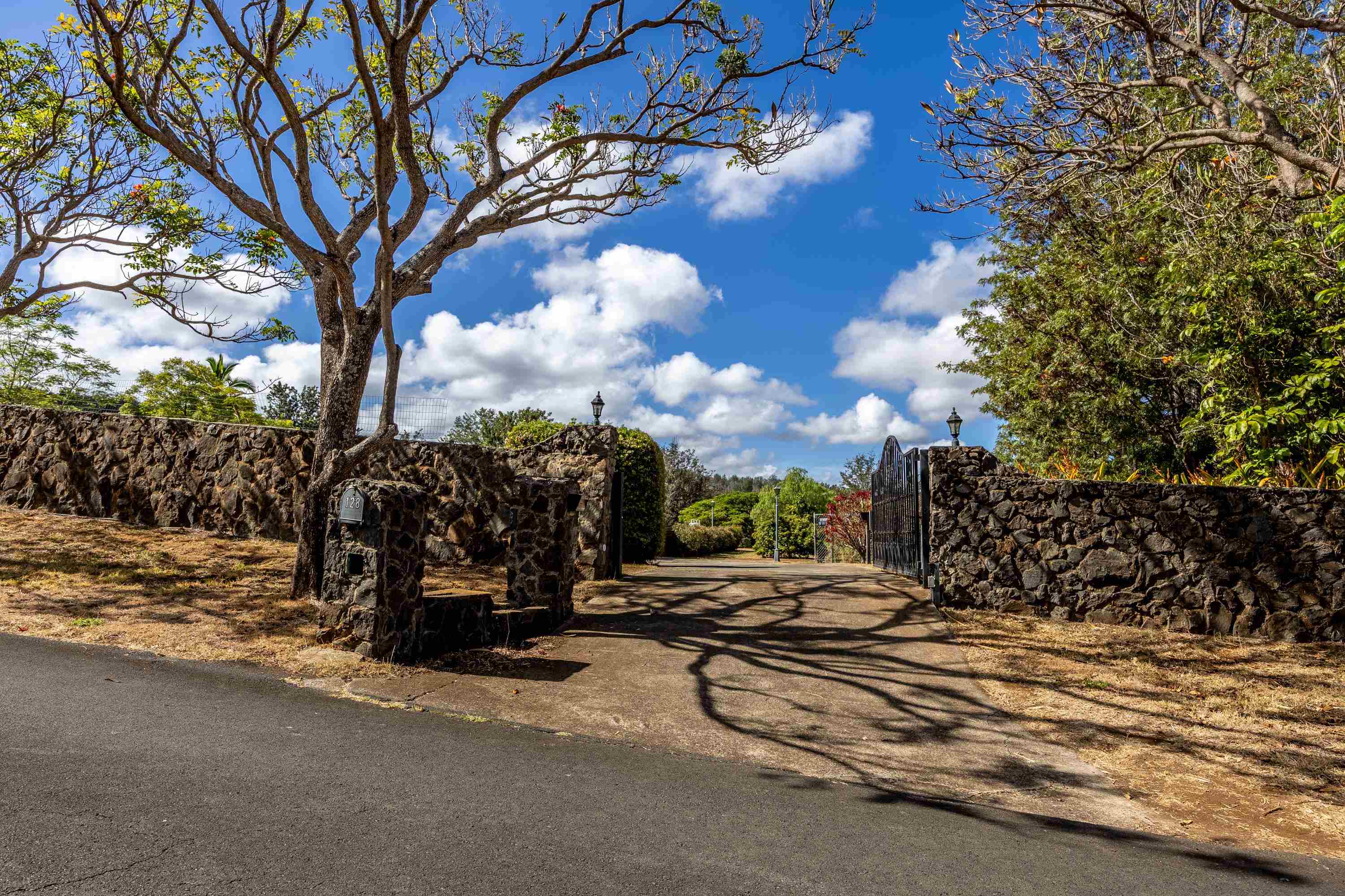 128  Hoopalua Dr , Makawao/Olinda/Haliimaile home - photo 4 of 50