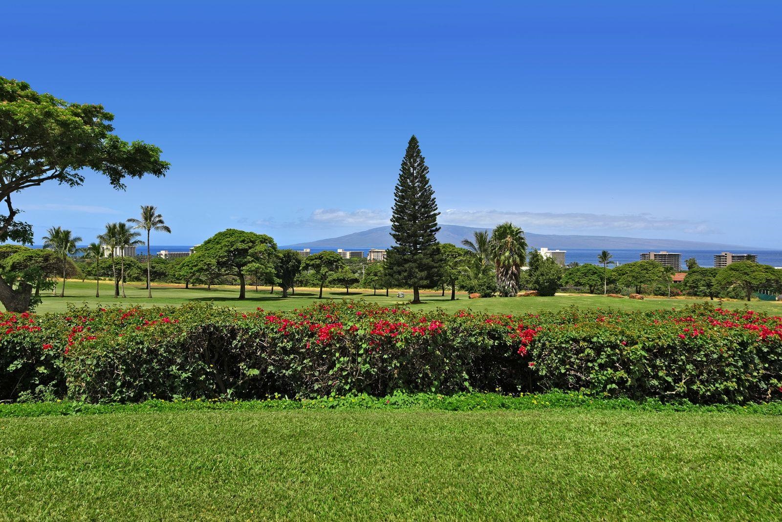 Vintage at Kaanapali condo # 128, Lahaina, Hawaii - photo 2 of 46