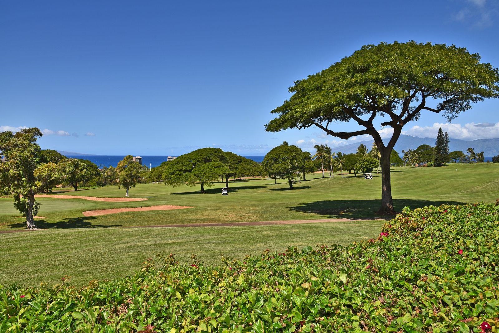 Vintage at Kaanapali condo # 128, Lahaina, Hawaii - photo 3 of 46