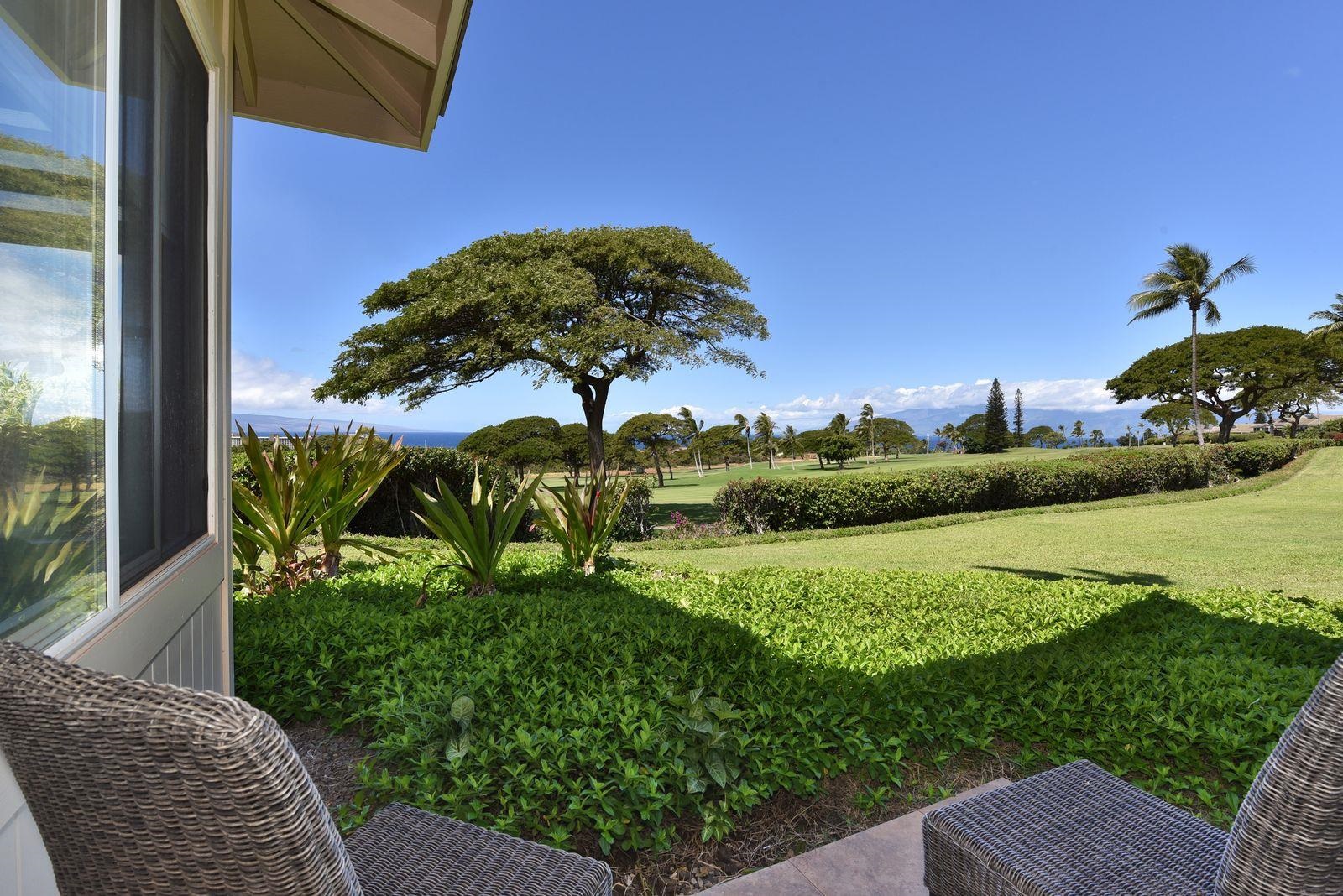 Vintage at Kaanapali condo # 128, Lahaina, Hawaii - photo 23 of 46