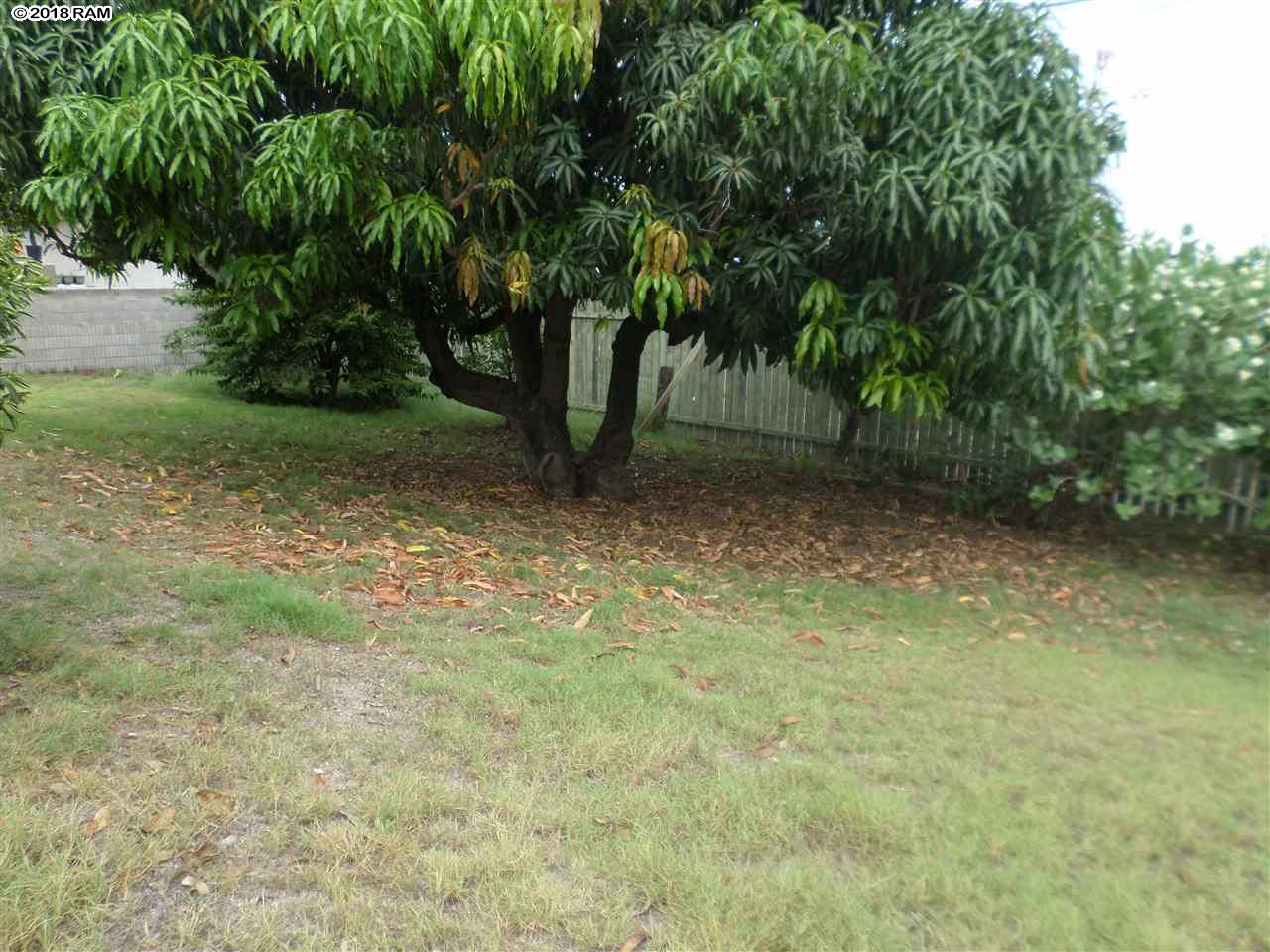 129  Kuula St , Kahului home - photo 6 of 23