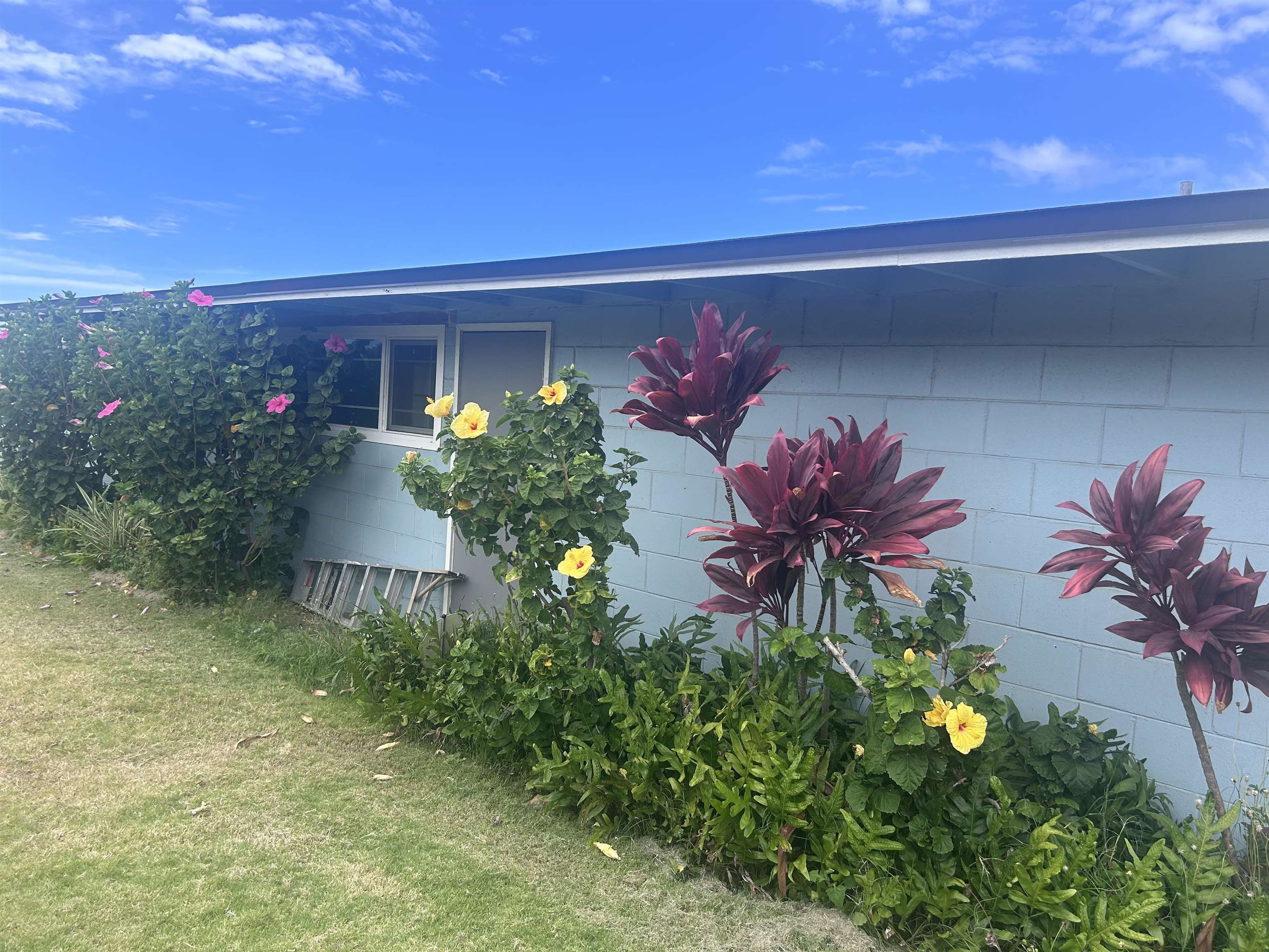 129  Niihau St , Kahului home - photo 2 of 9