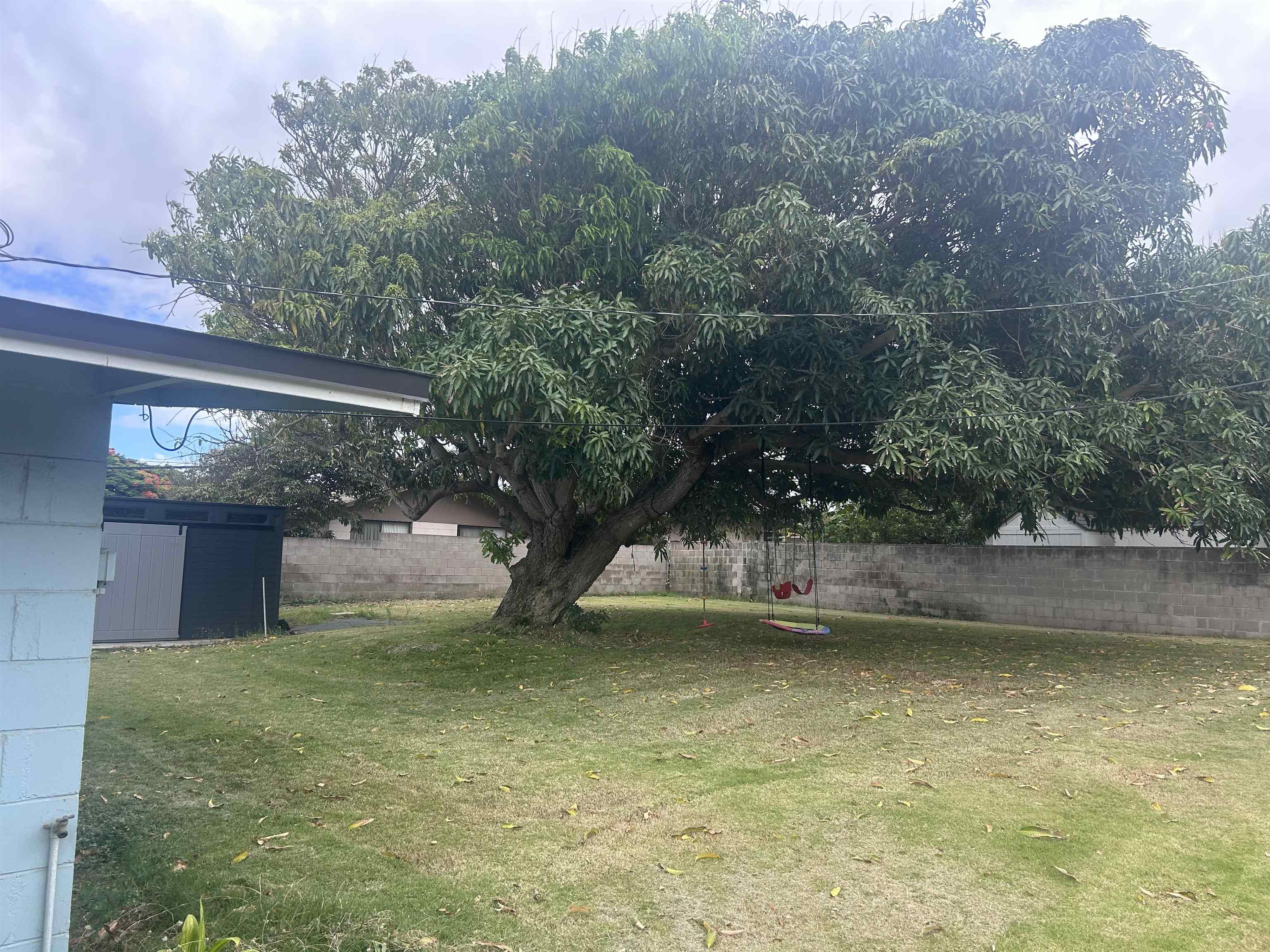 129  Niihau St , Kahului home - photo 4 of 9