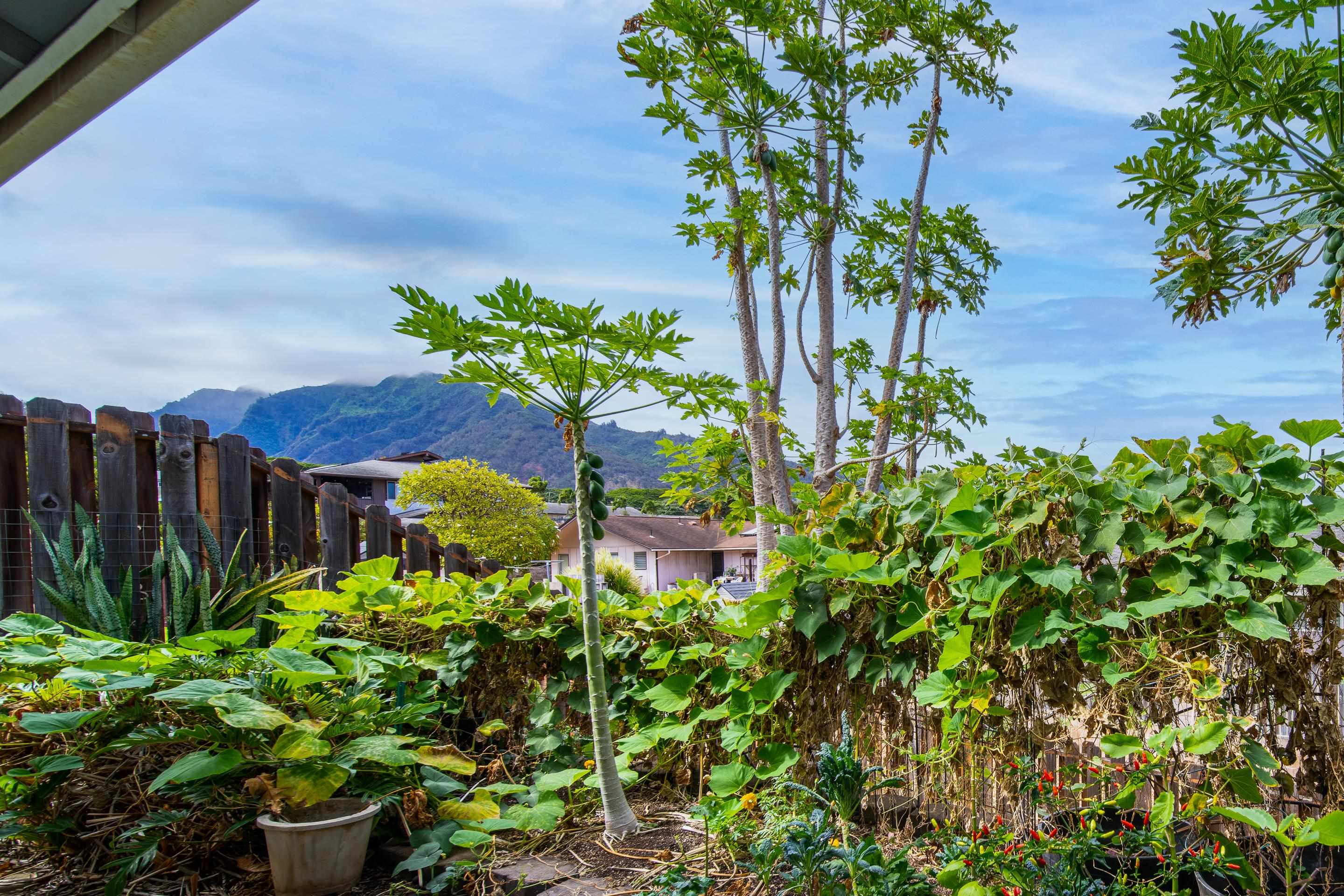 129  Poniu Cir Kehalani, Wailuku home - photo 5 of 22