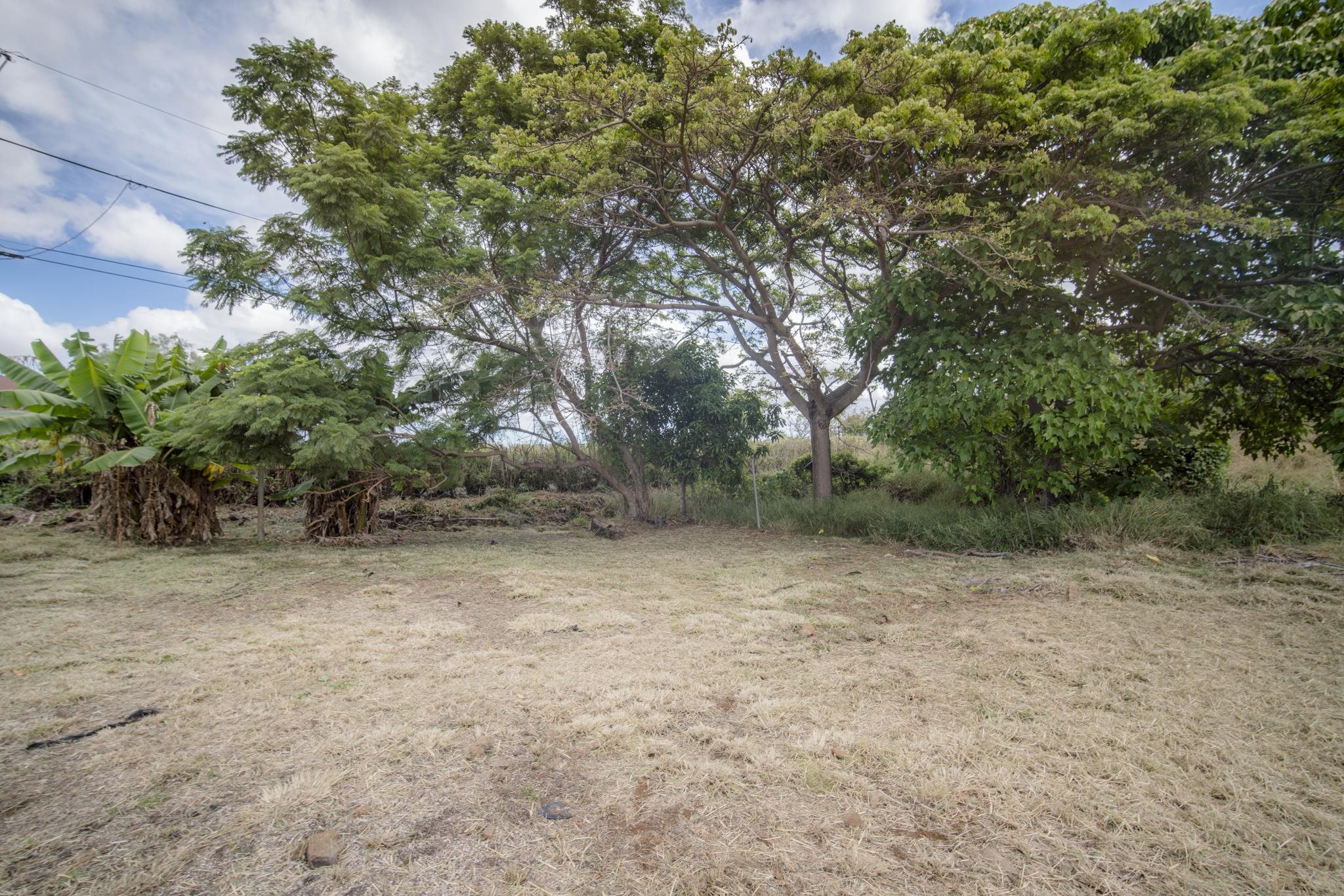 1298  Naalae Rd , Kula/Ulupalakua/Kanaio home - photo 6 of 33