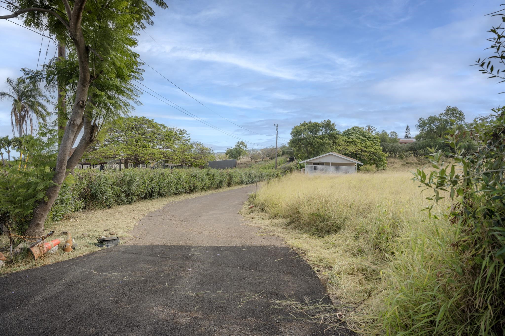 1298  Naalae Rd , Kula/Ulupalakua/Kanaio home - photo 32 of 34