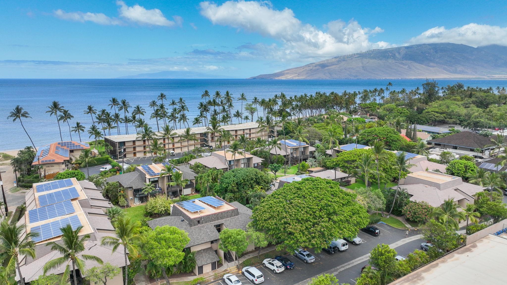 Kihei Garden Estates condo # 103E, Kihei, Hawaii - photo 4 of 50