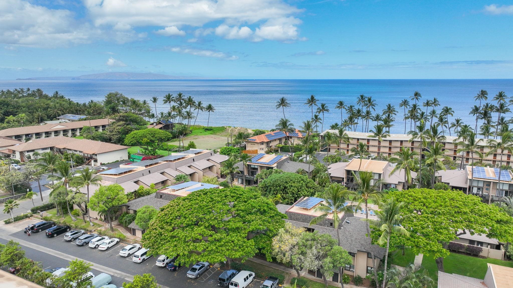 Kihei Garden Estates condo # 103E, Kihei, Hawaii - photo 34 of 50