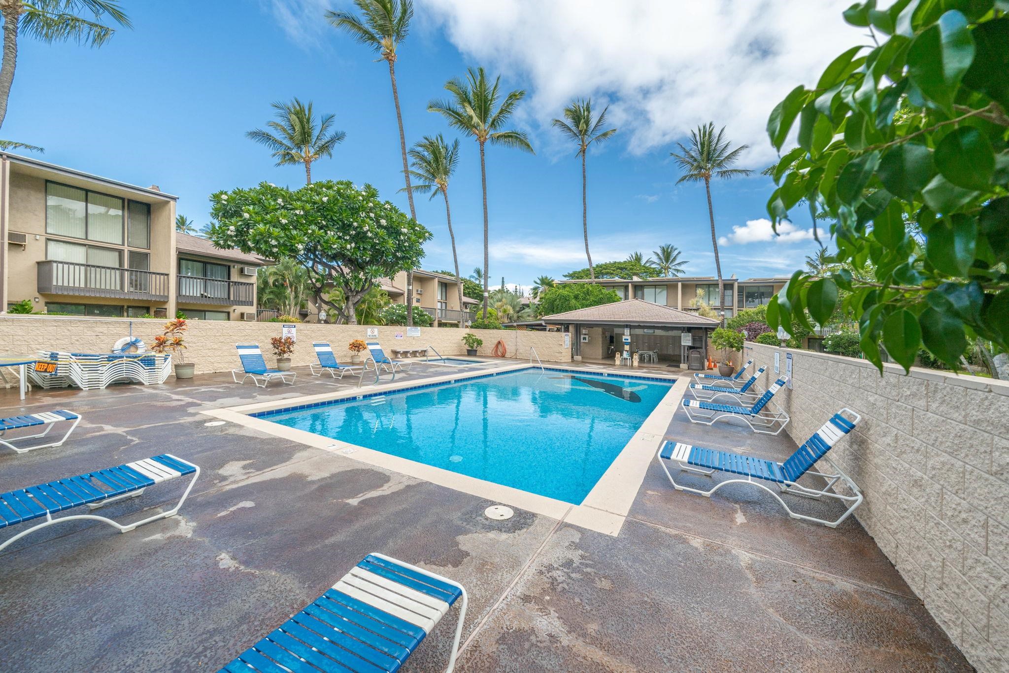 Kihei Garden Estates condo # 103E, Kihei, Hawaii - photo 42 of 50