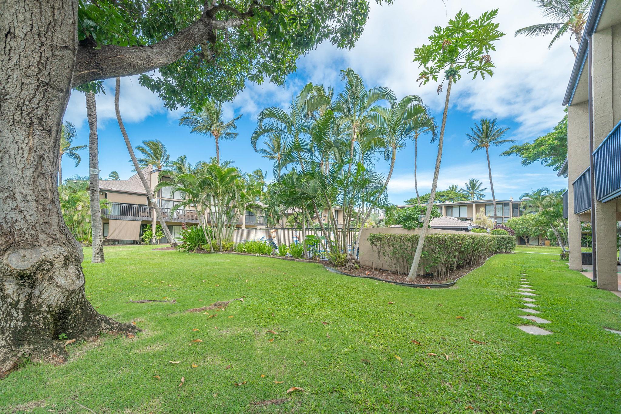 Kihei Garden Estates condo # 103E, Kihei, Hawaii - photo 44 of 50