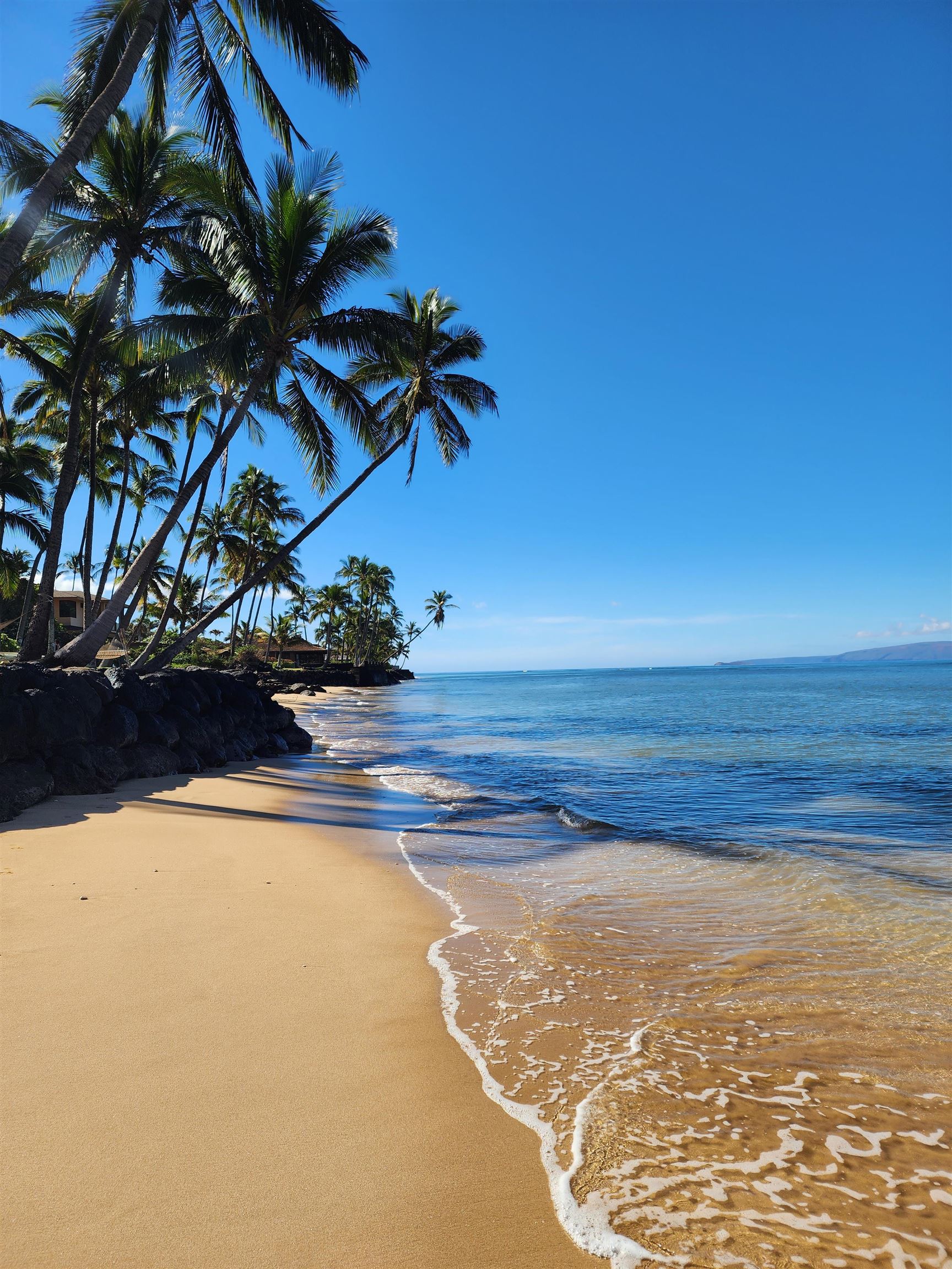 Kihei Garden Estates condo # 103E, Kihei, Hawaii - photo 47 of 47