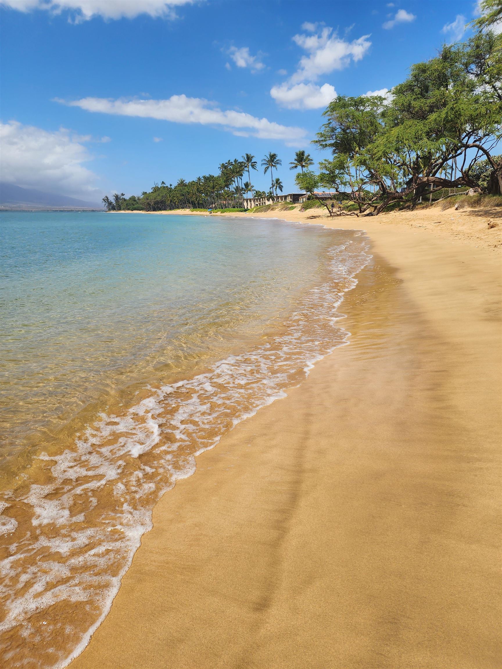 Kihei Garden Estates condo # 103E, Kihei, Hawaii - photo 8 of 47