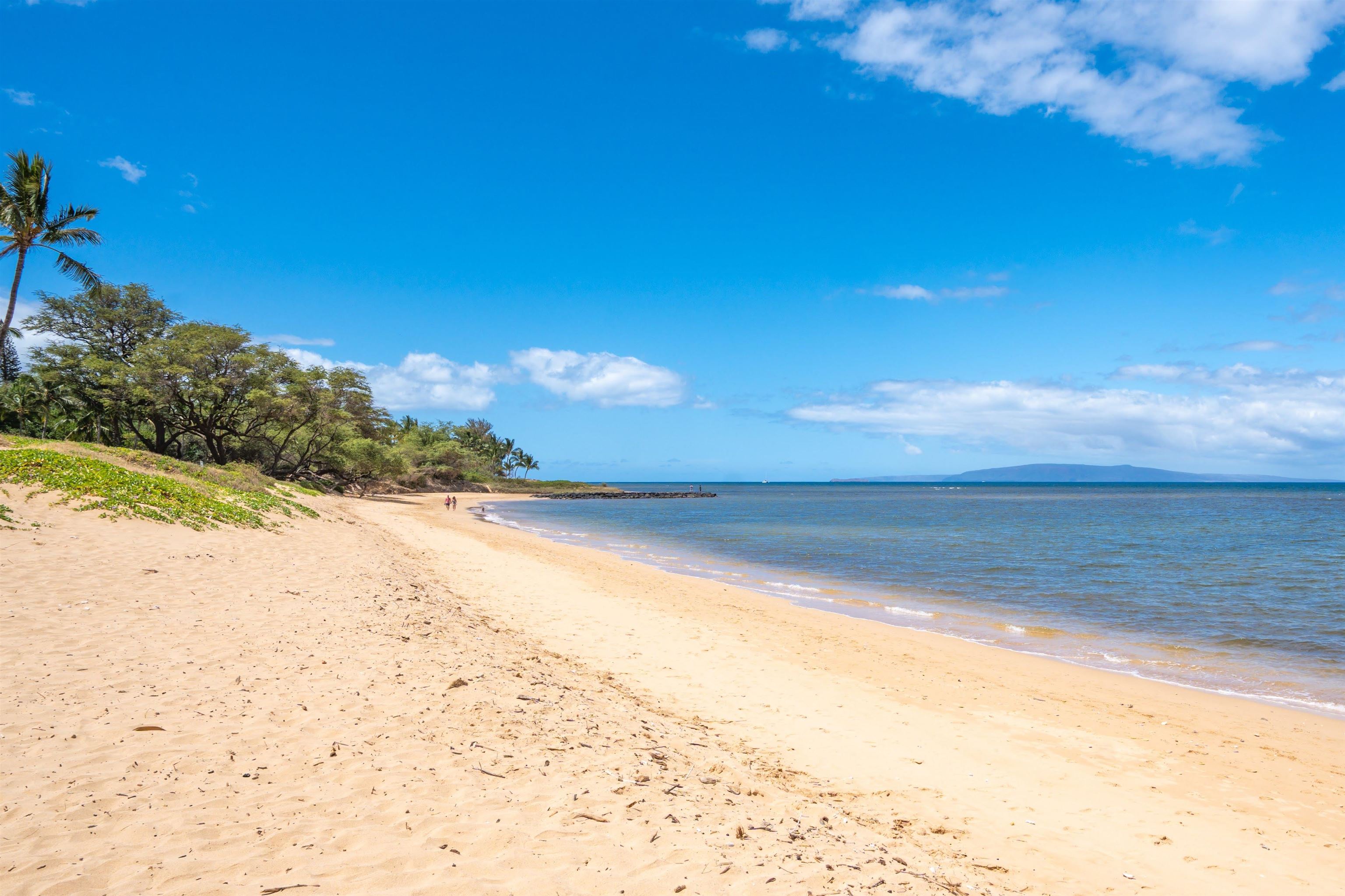 Kihei Garden Estates condo # 106C, Kihei, Hawaii - photo 36 of 36