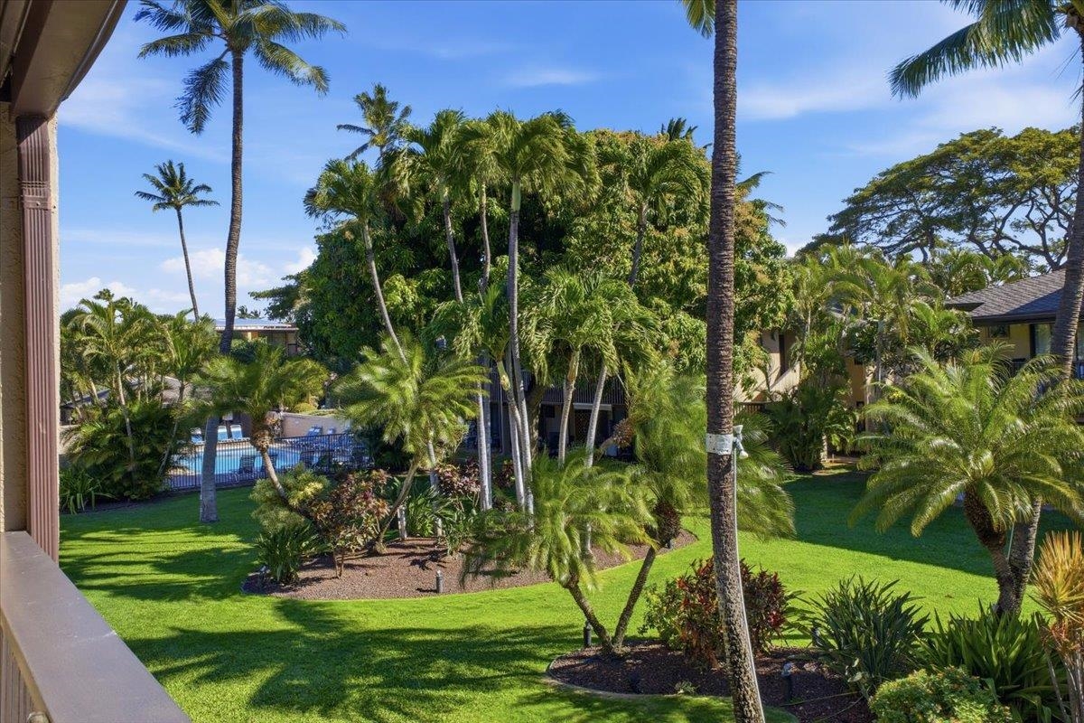 Kihei Garden Estates condo # 201B, Kihei, Hawaii - photo 24 of 42