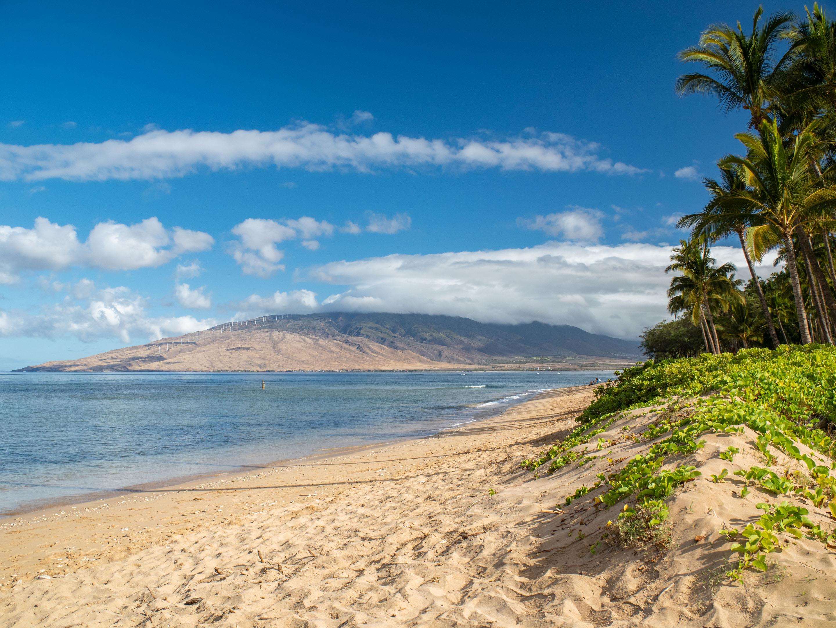 Kihei Garden Estates condo # B102, Kihei, Hawaii - photo 20 of 30