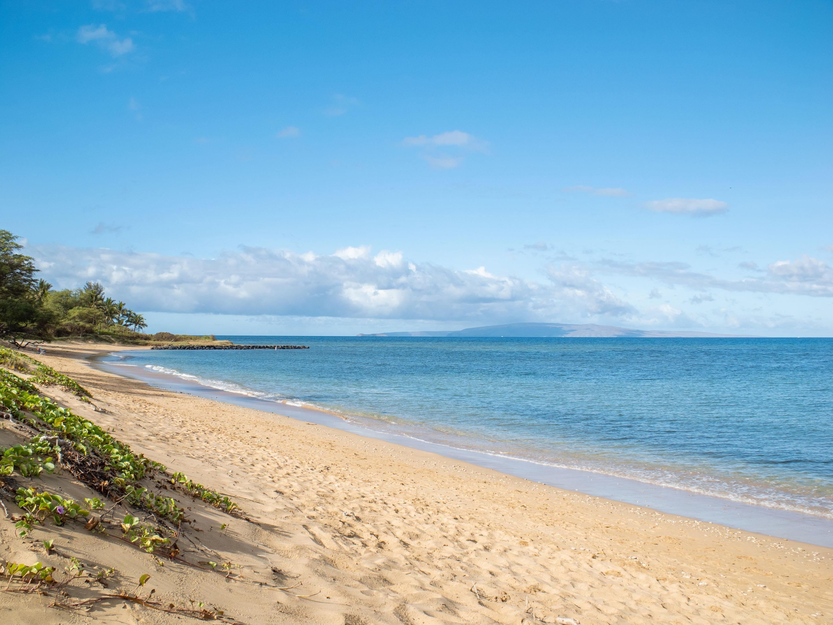 Kihei Garden Estates condo # B102, Kihei, Hawaii - photo 21 of 30