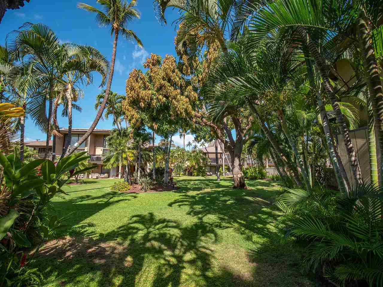 Kihei Garden Estates condo # B104, Kihei, Hawaii - photo 2 of 20